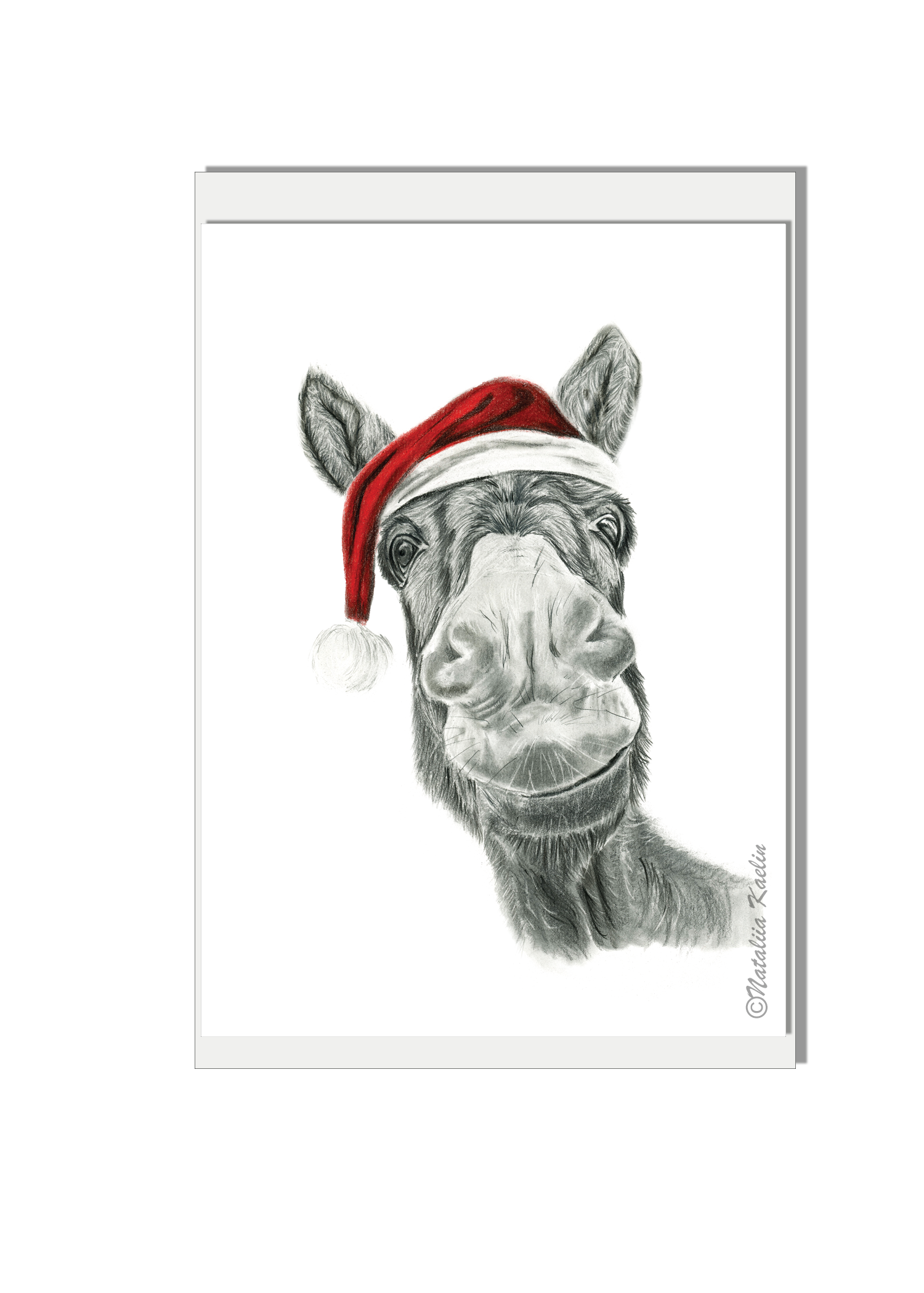 Donkey - Robert Kaelin copy.png
