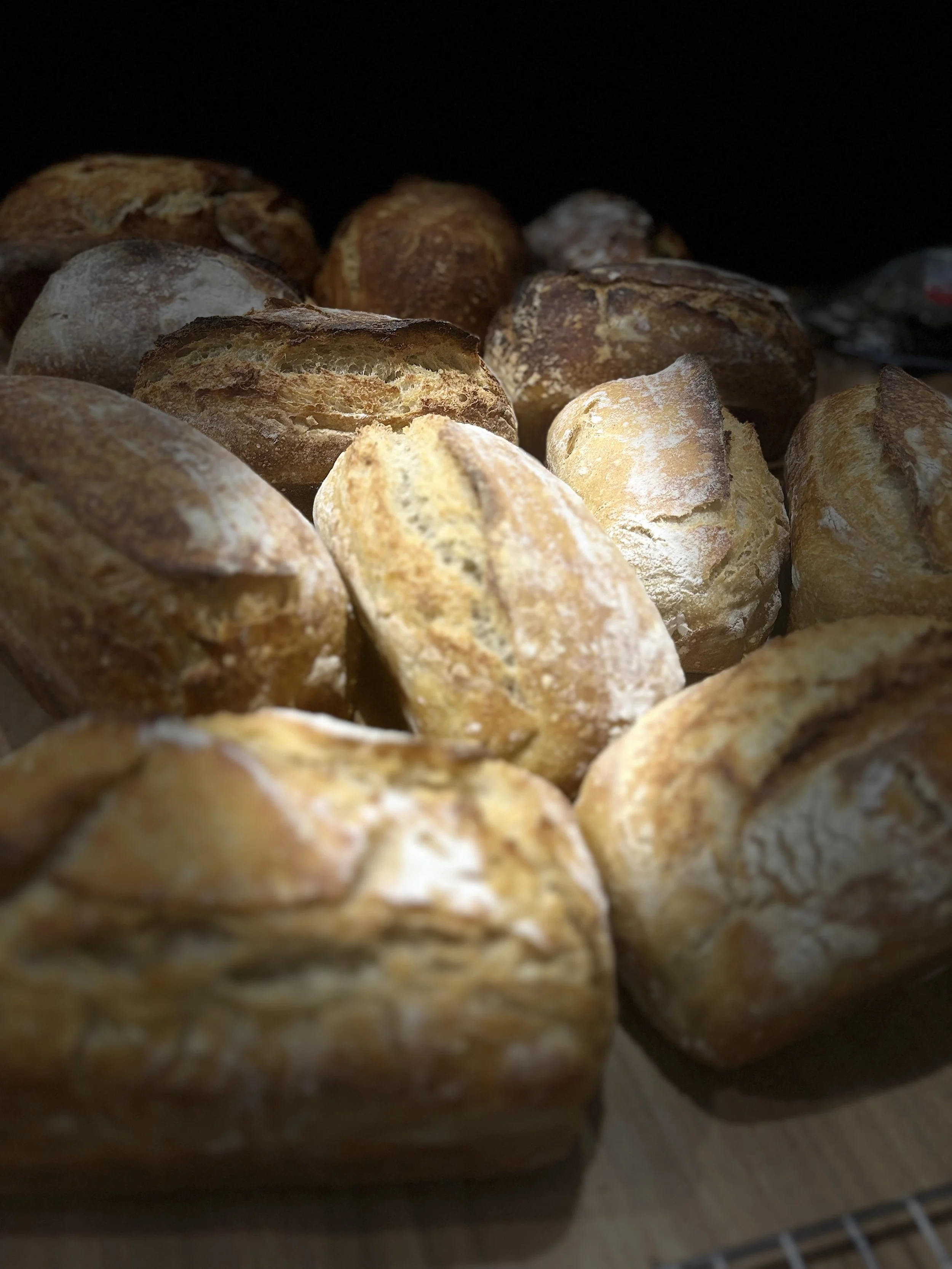 IMG_2086 - Pan & Pam.jpeg