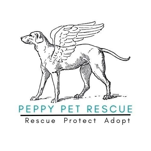 Dog Adoption Event