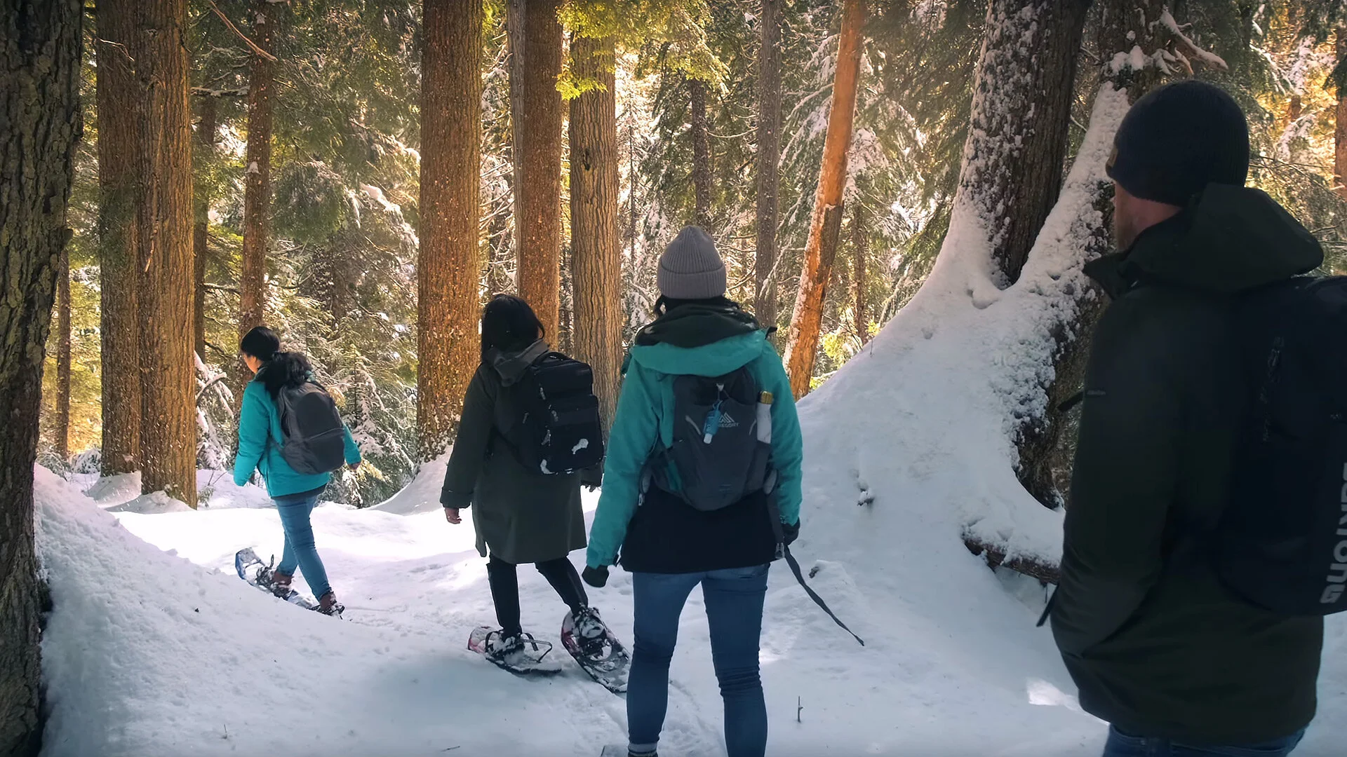 BeWild! // Cheakamus Lake Snowshoe Tour