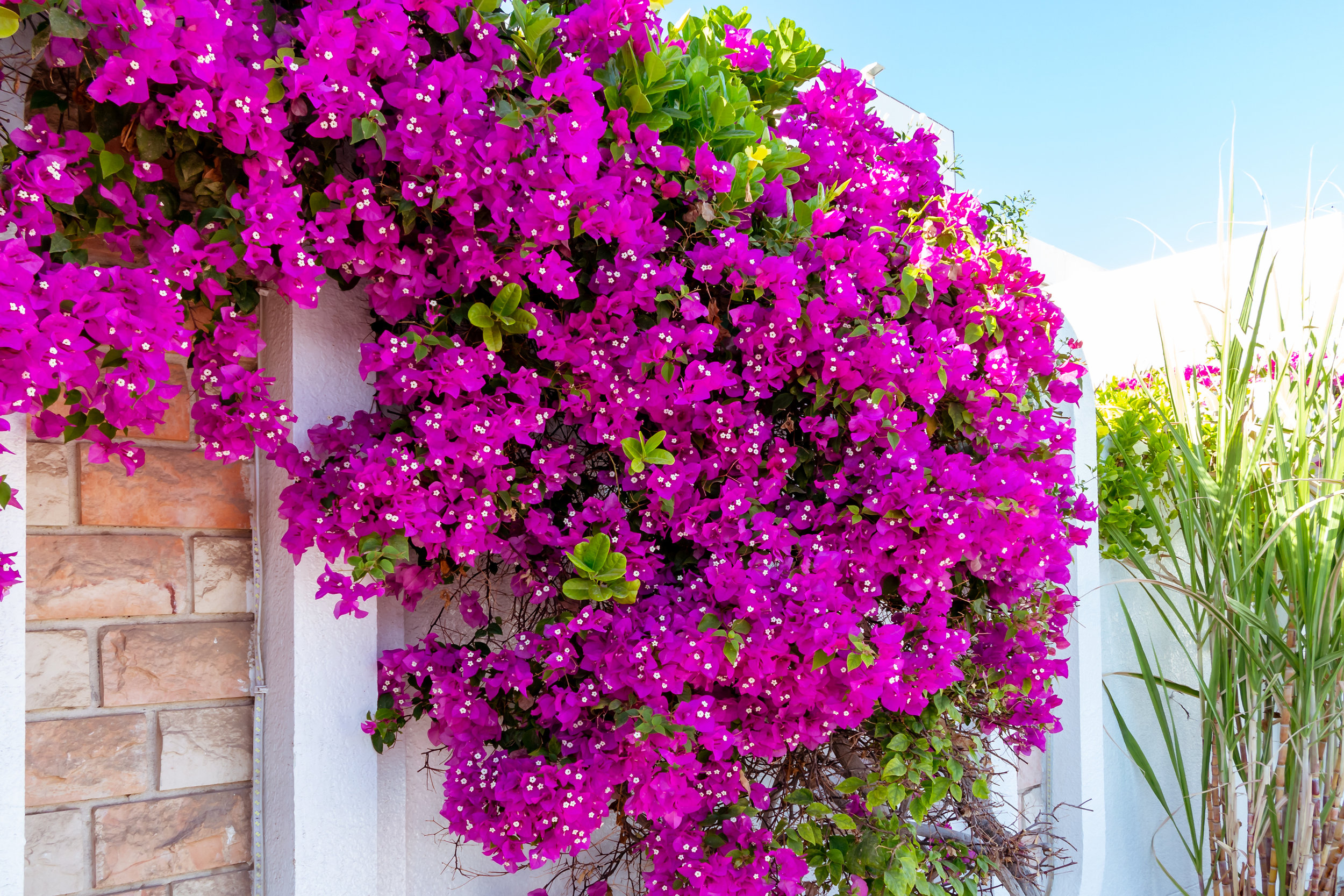 AdobeStock_242137304.jpeg