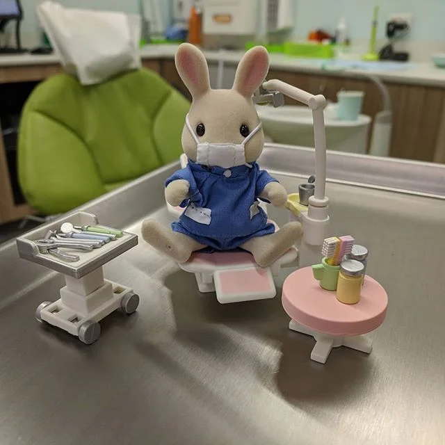 My new apprentice for 2019. Thanks @drjennyhong