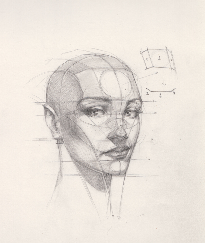 Digital Portrait Sketch : r/drawing