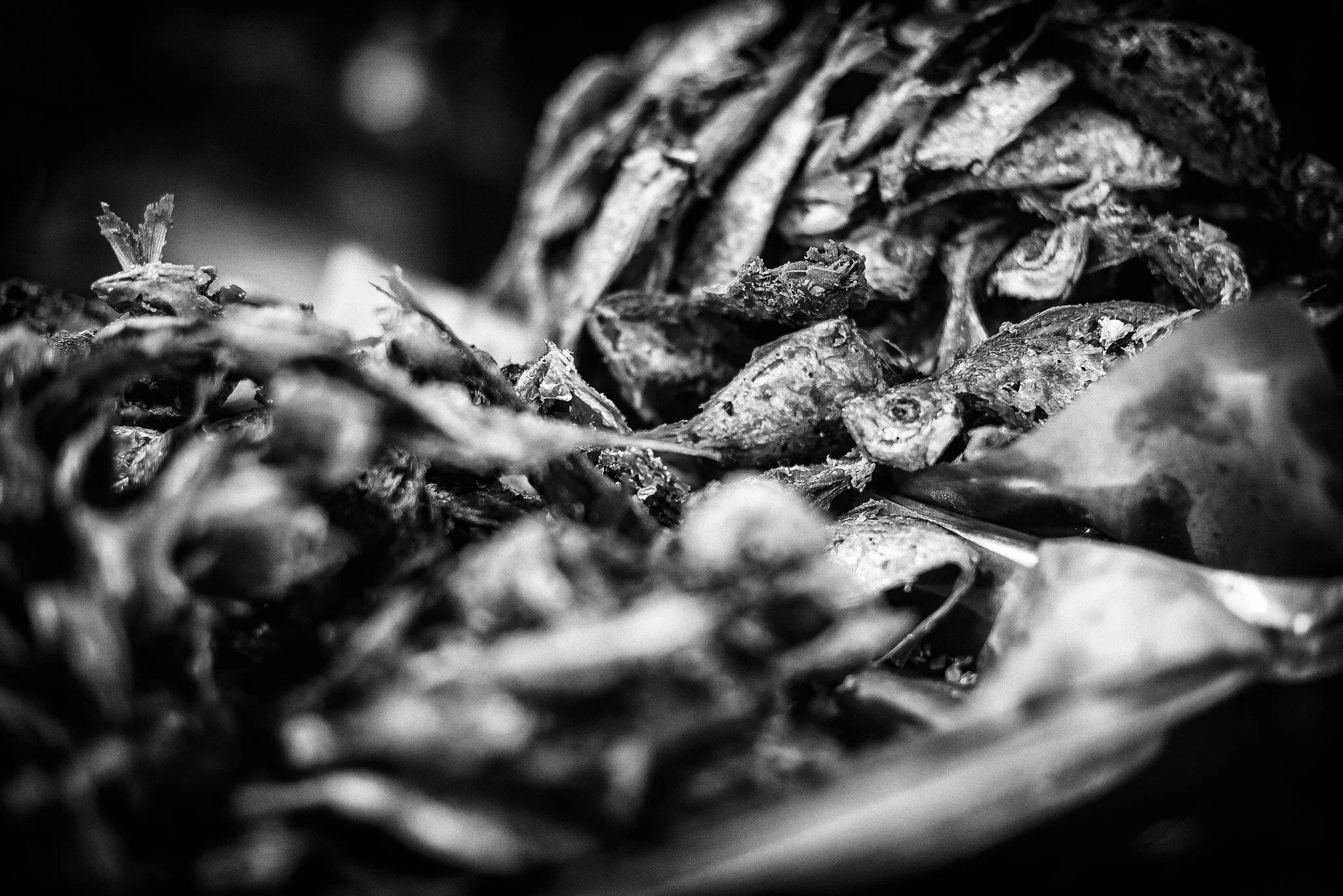 Ikan selar is common in traditional recipes of nasi lemak.