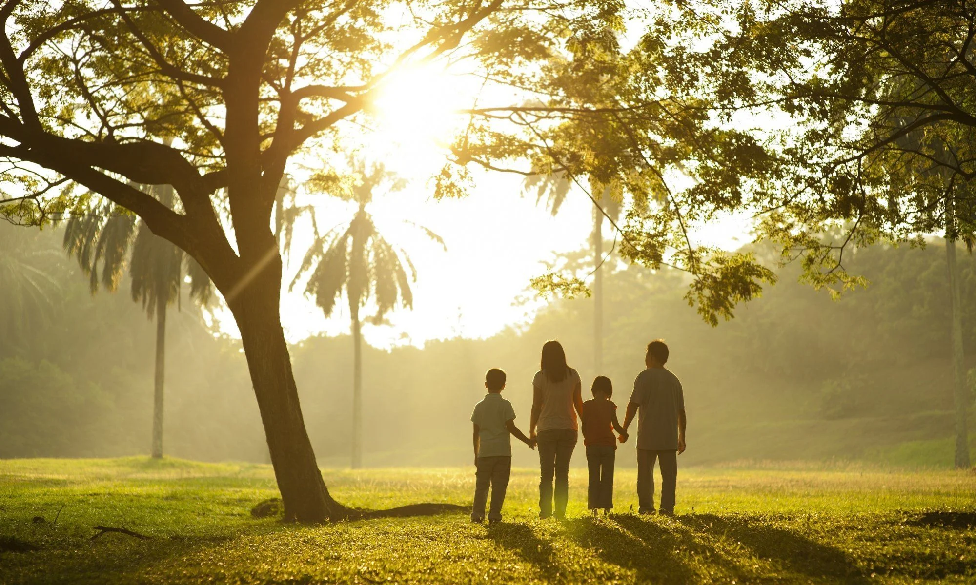 family veterans service return empower