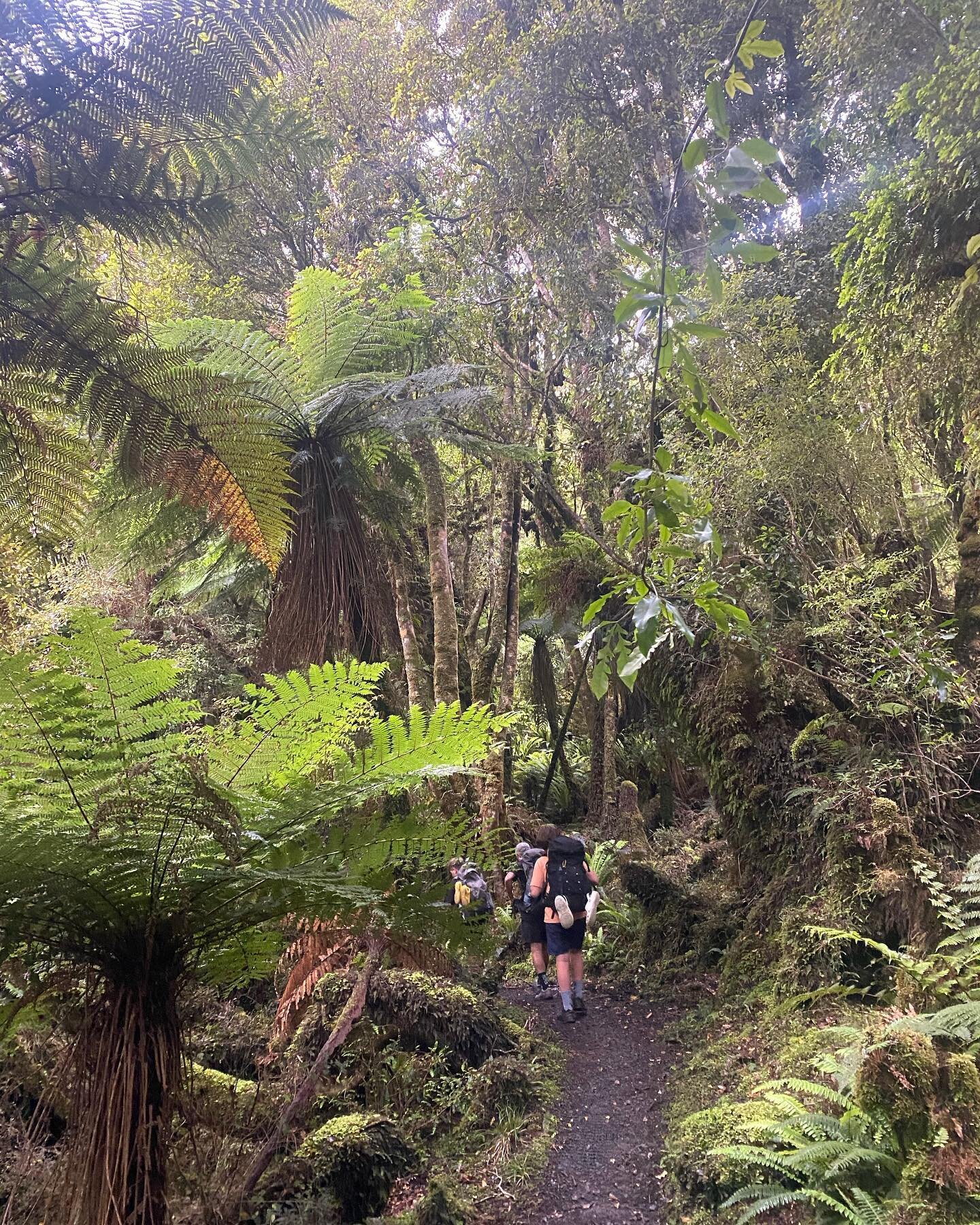 Stewart Island/Rakiura you were magic, and muddy. What an amazing place. Thank you to my family for indulging me with my love of hiking. &hearts;️🦌🦜🦭