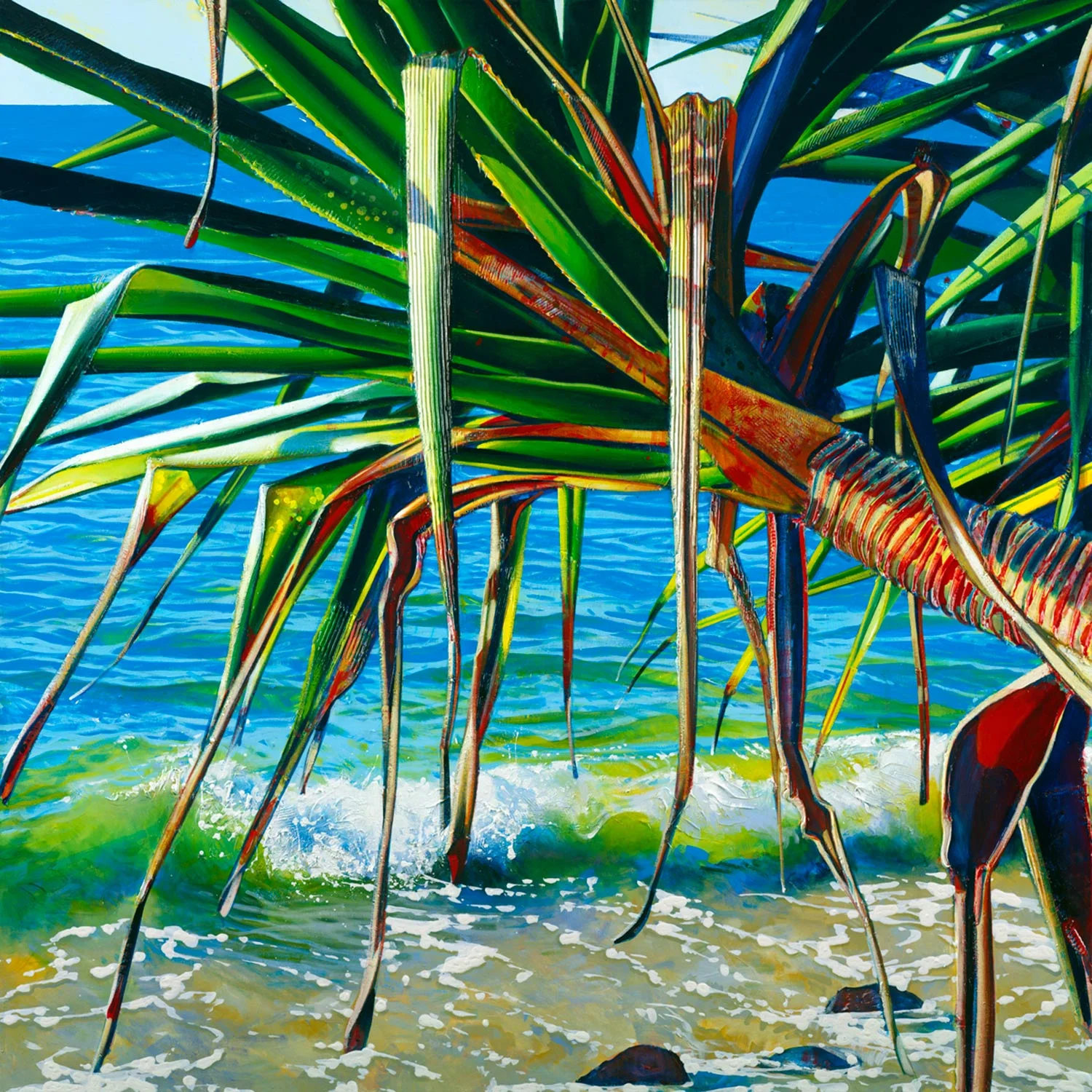 Pandanus Splash.jpg