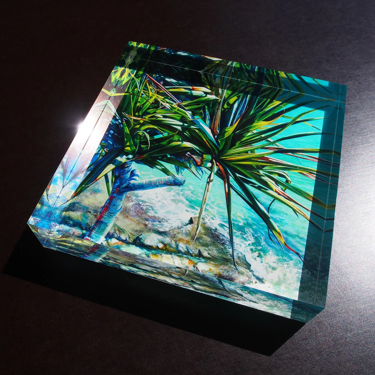 Noosa Pandanus_crystal block.jpg