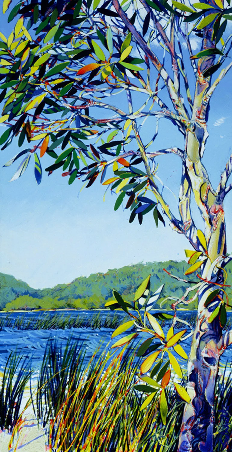 Melaleuca - 2002