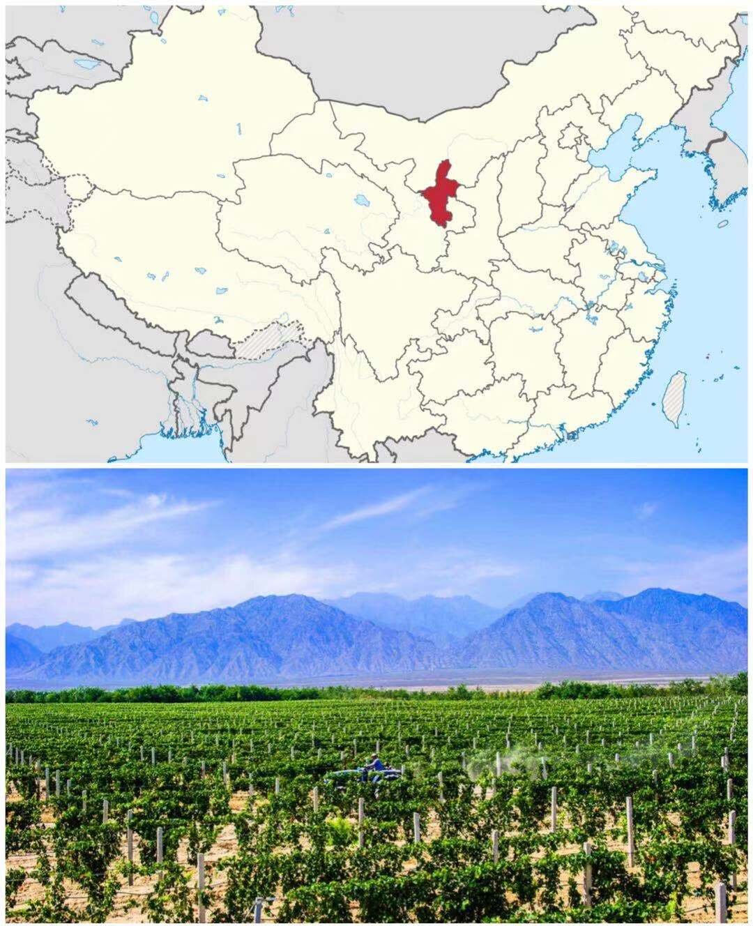 Q03. Jamie Barys’ favourite destination in China: The wine country of 宁夏 [Níngxià].