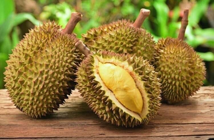 Question 01. Tom Barker’s favourite China fact: The recycling rules in Shanghai do not classify the skin of durians as food waste.