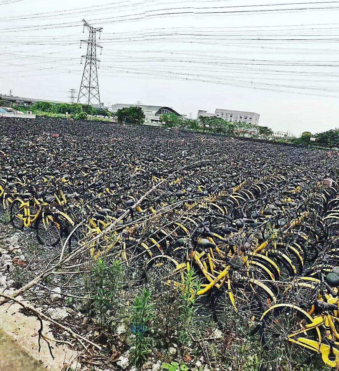 Question 05. One of the things that still surprises Sebastien Denes about life in China: The Bicycle Graveyards.