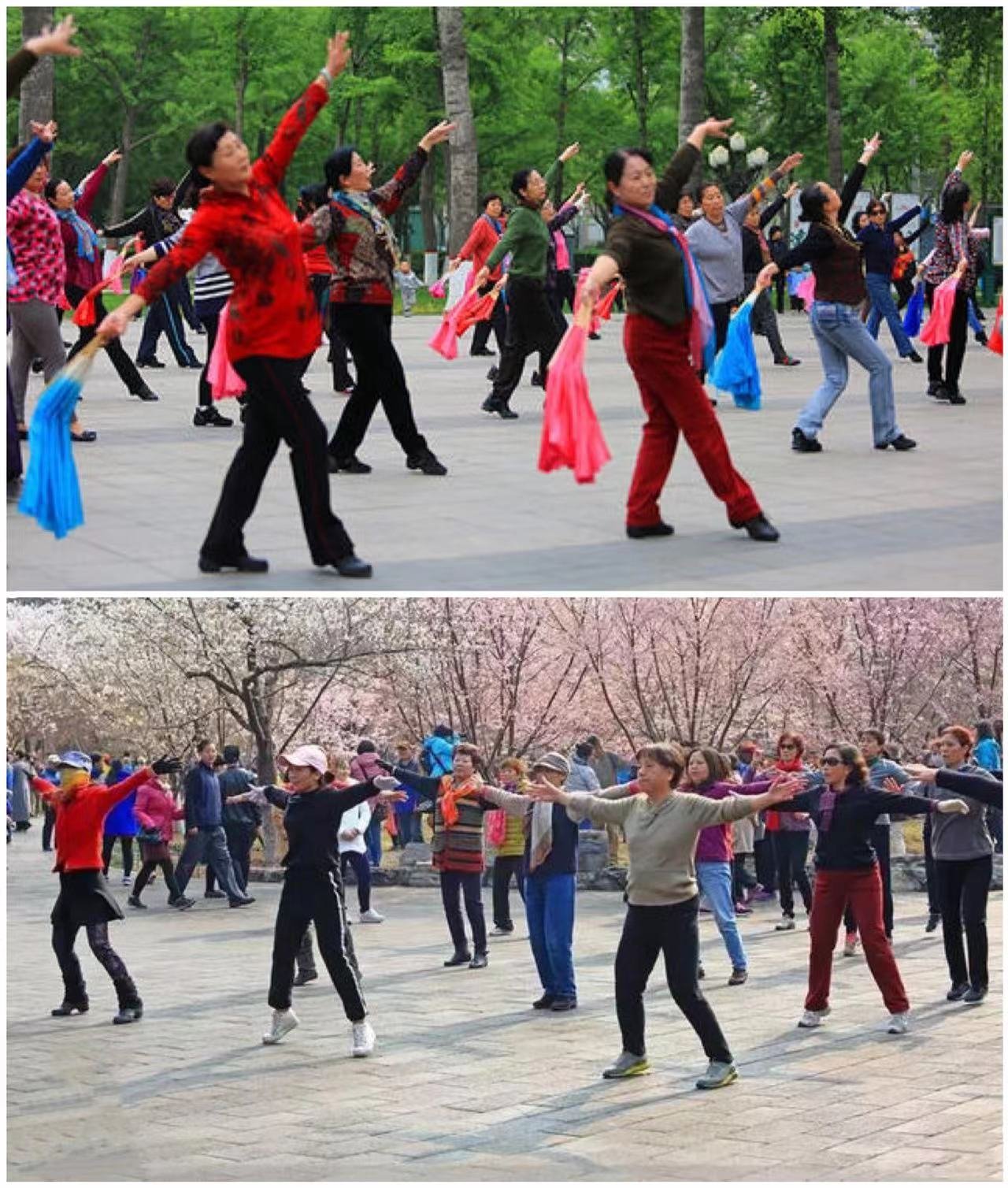 Laodai's favourite China-related fact: The fact that many people in China enjoy dancing in the street.