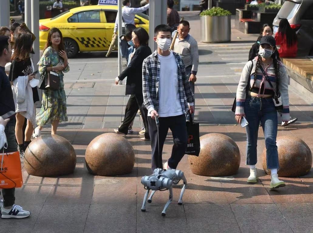 The thing that surprises Laodai about life in China: People taking their robot dogs for a walk.