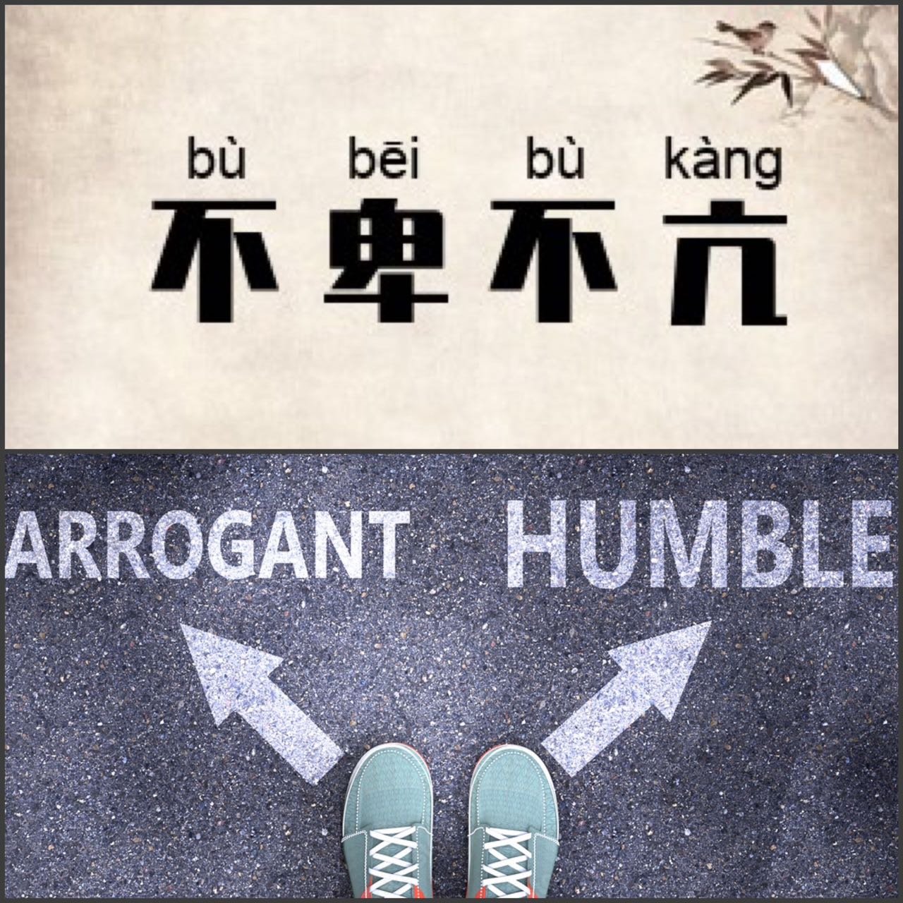 Alizée Buysschaert's favourite phrase in Chinese: 不卑不亢 [bùbēibùkàng], which means ‘not too arrogant, but also not too humble’.
