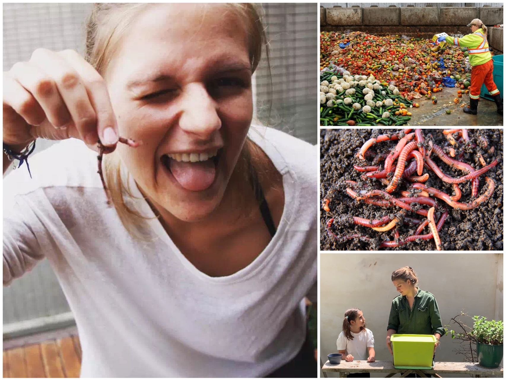 Alizée Buysschaert: Composting workshops surprisingly became the most popular feature of her business.