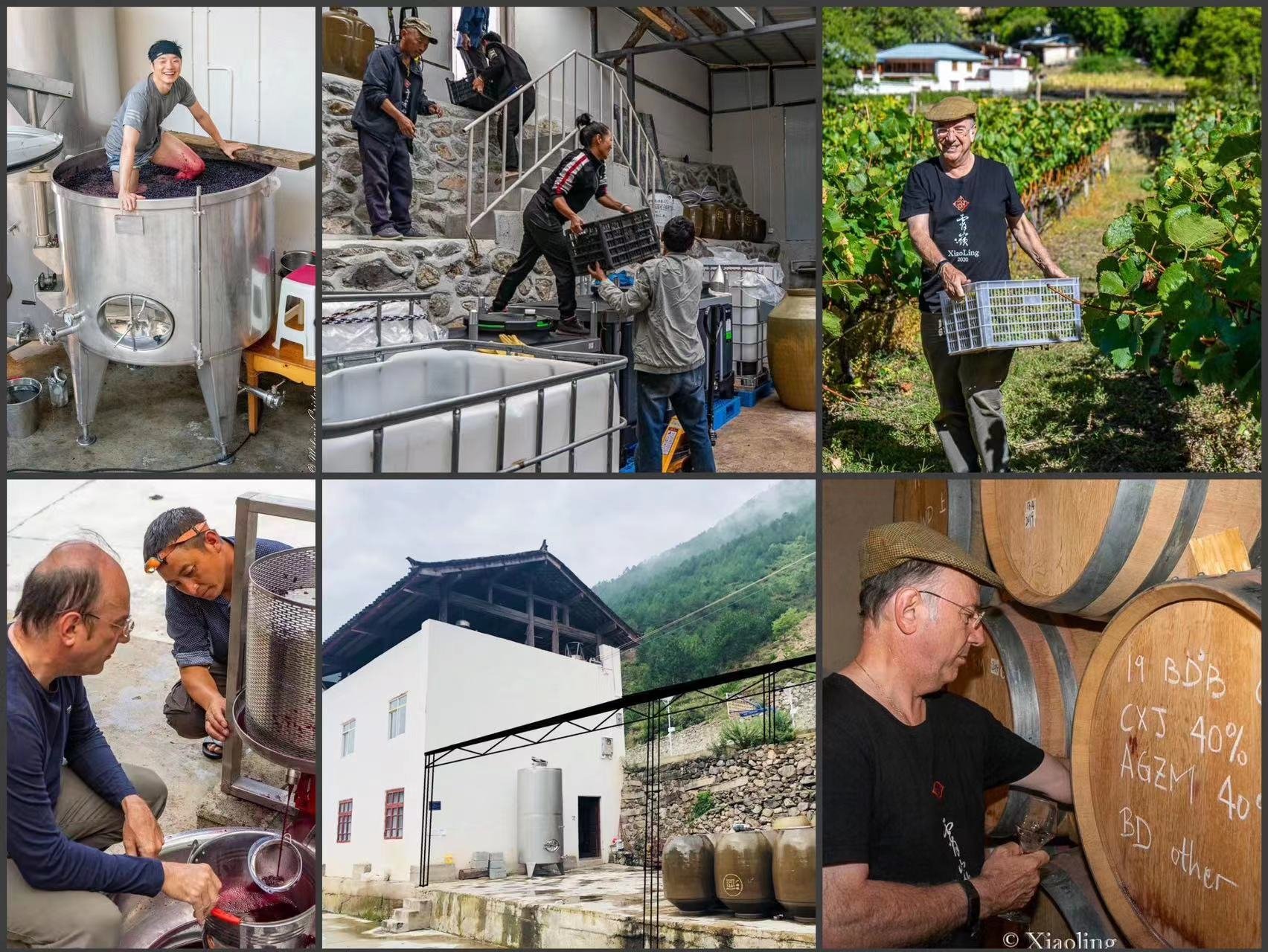 Bertrand Cristau: Some more photos from the process of winemaking.