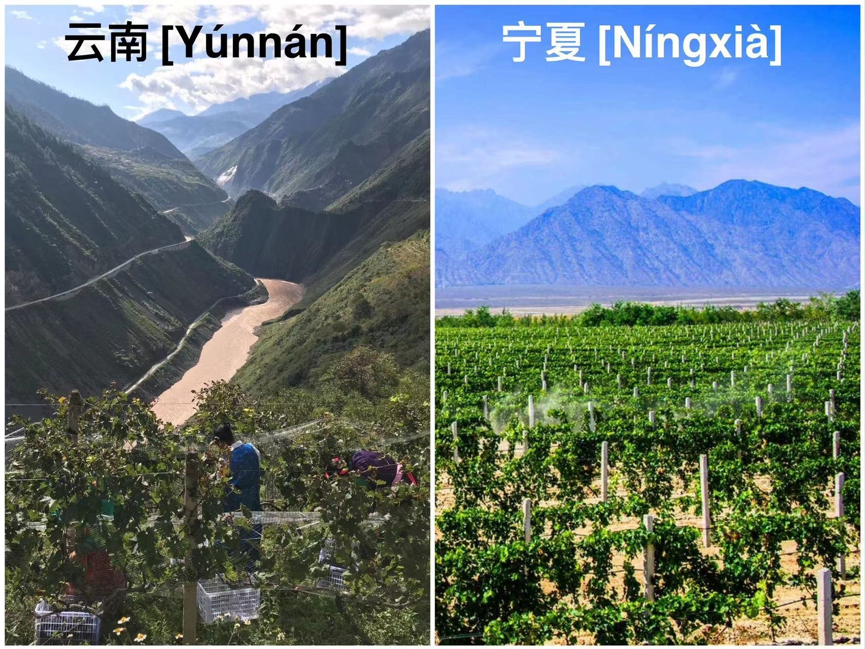 Bertrand Cristau: He explains how the wine he is producing operates under a very different philosophy to the wine made in China's main wine-producing region of 宁夏 [Níngxià].