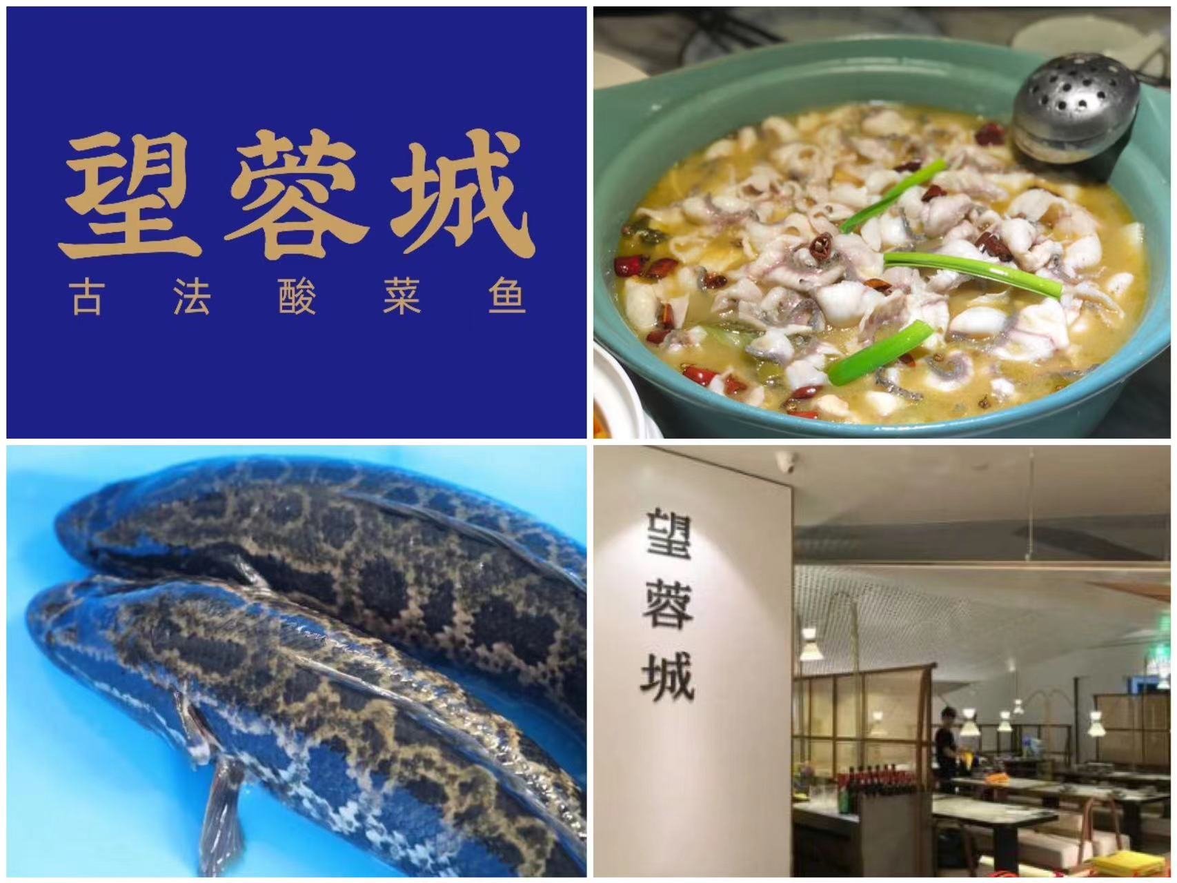 Zhou Yan's favourite restaurant in China: 望蓉城 [Wàngróngchéng], which serves snakehead fish fillets in a Chinese sauerkraut soup.