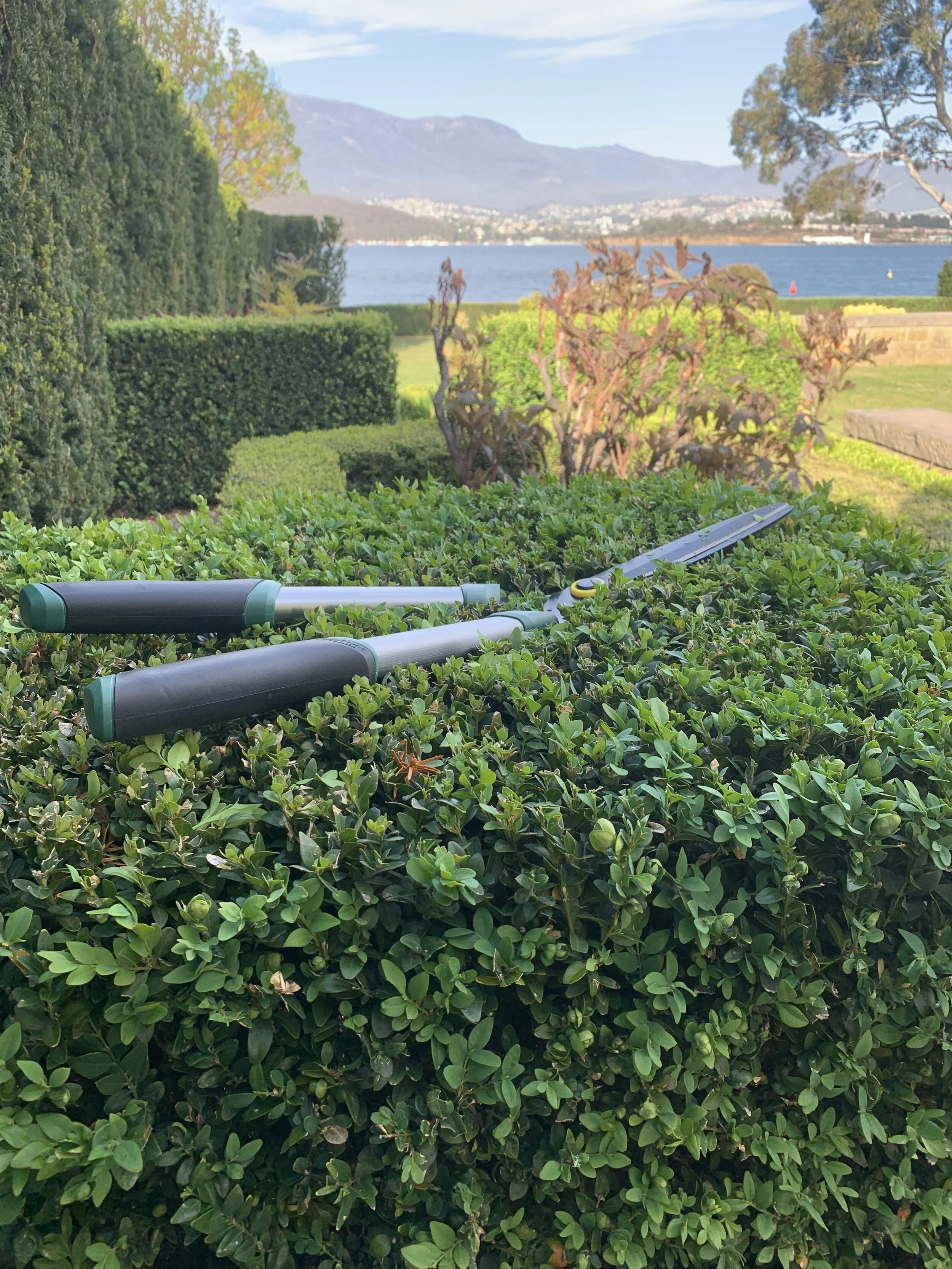 Gallery — Broadview Landscaping