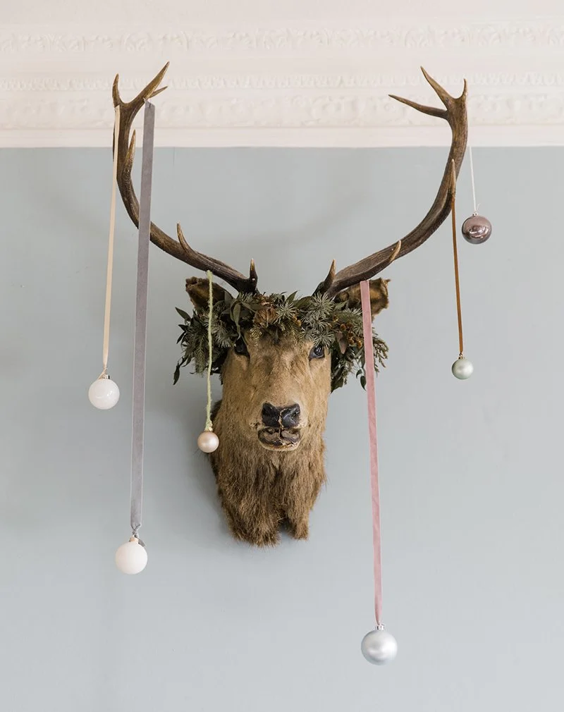 Christmas Day at Deer Park