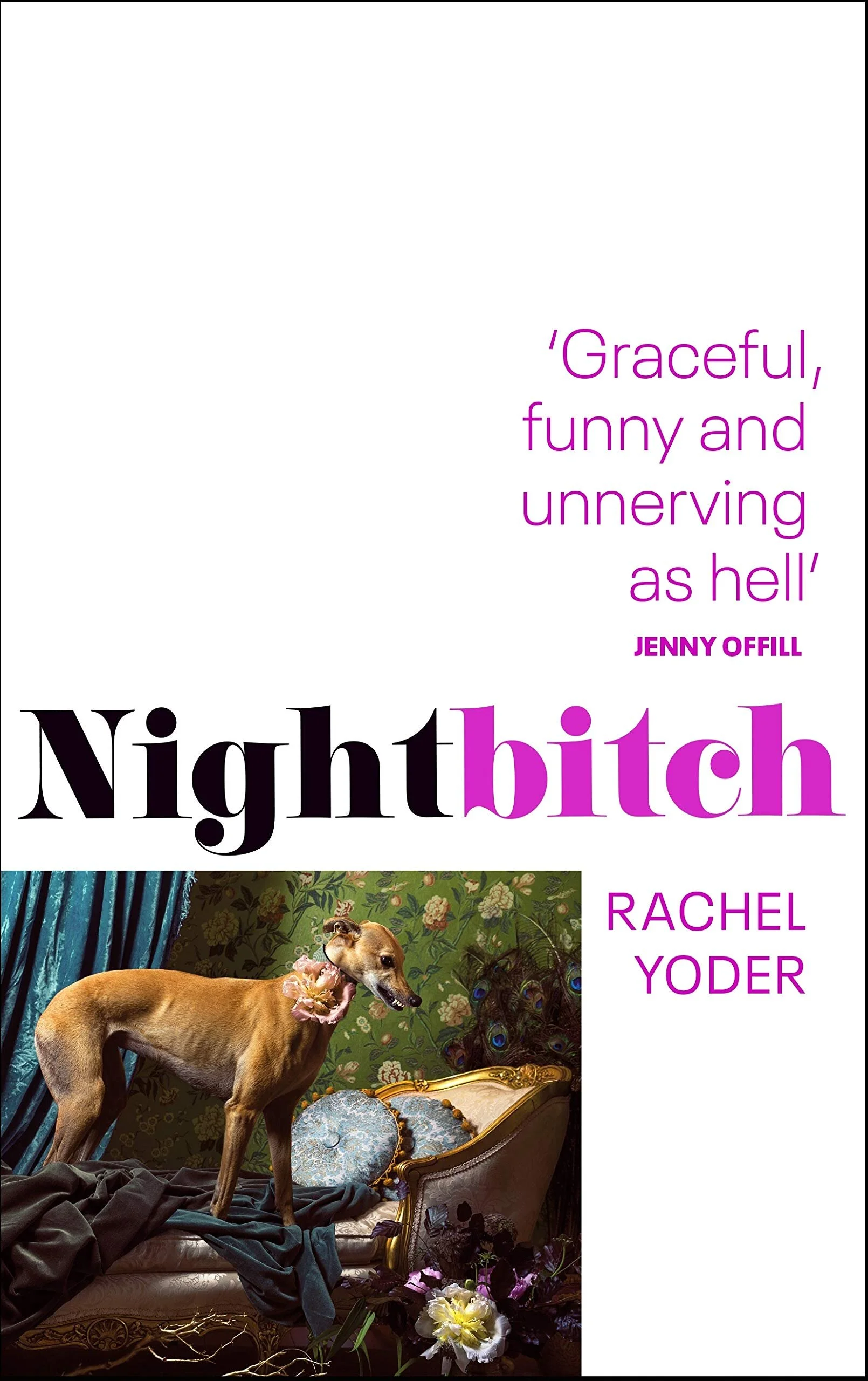 Rachel Fit: The Leak That Broke The Internet - c1hl8z2