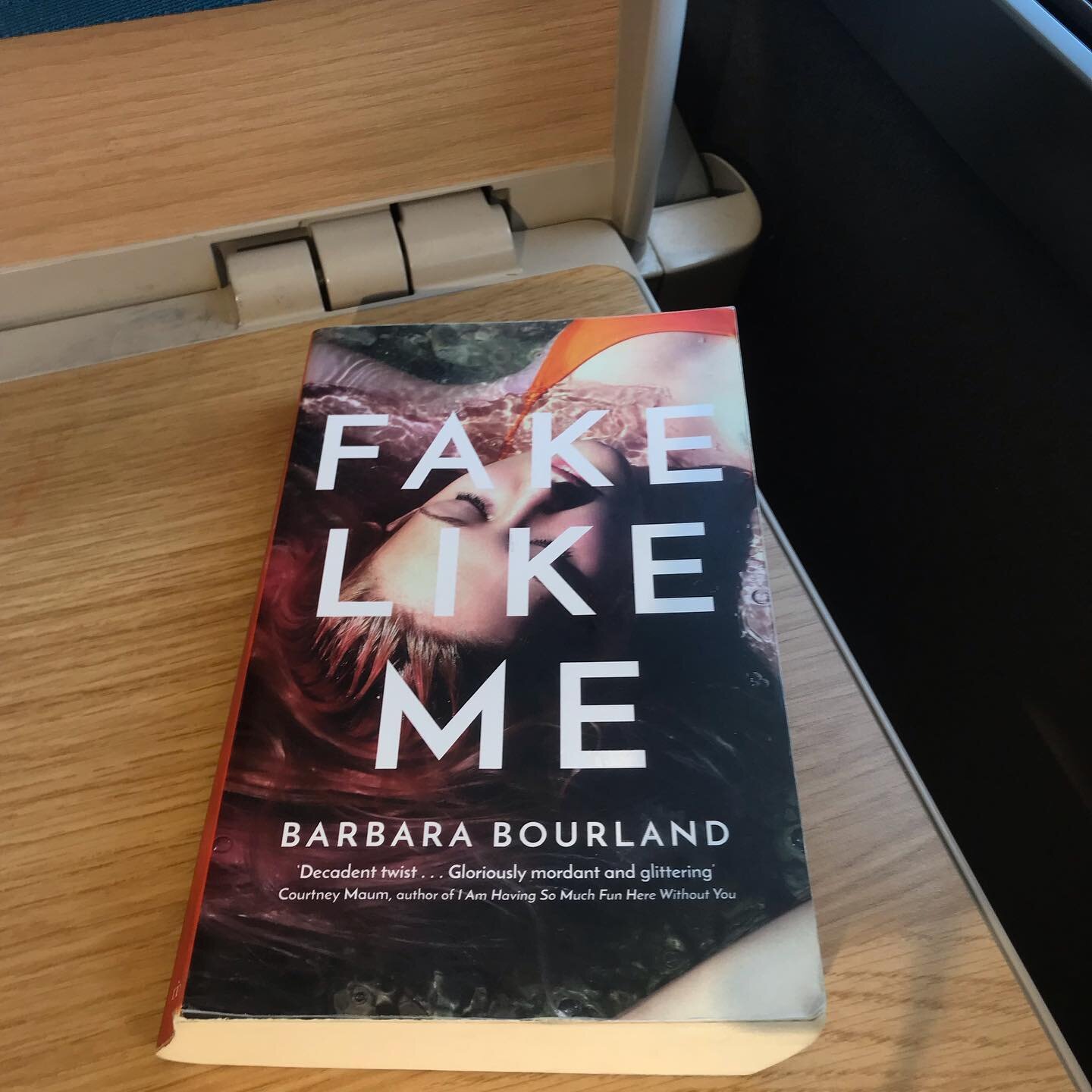 ☀️​Gotta love a book that I just can't put down! I started Fake Like Me by Barbara Bourland @babsbourland on a train from Angoul&ecirc;me to Bordeaux and knew immediately that I would whip through it. ⁣
⁣
I continued my travels from Bordeaux to Biarr