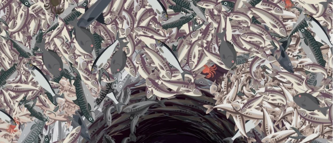 New report from Changing Markets Foundation highlights the catastrophe provoked by fishmeal factories in The Gambia