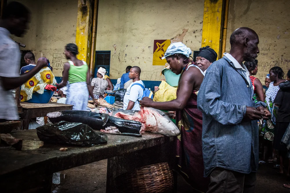 Are the EU’s fisheries agreements helping to develop African fisheries?