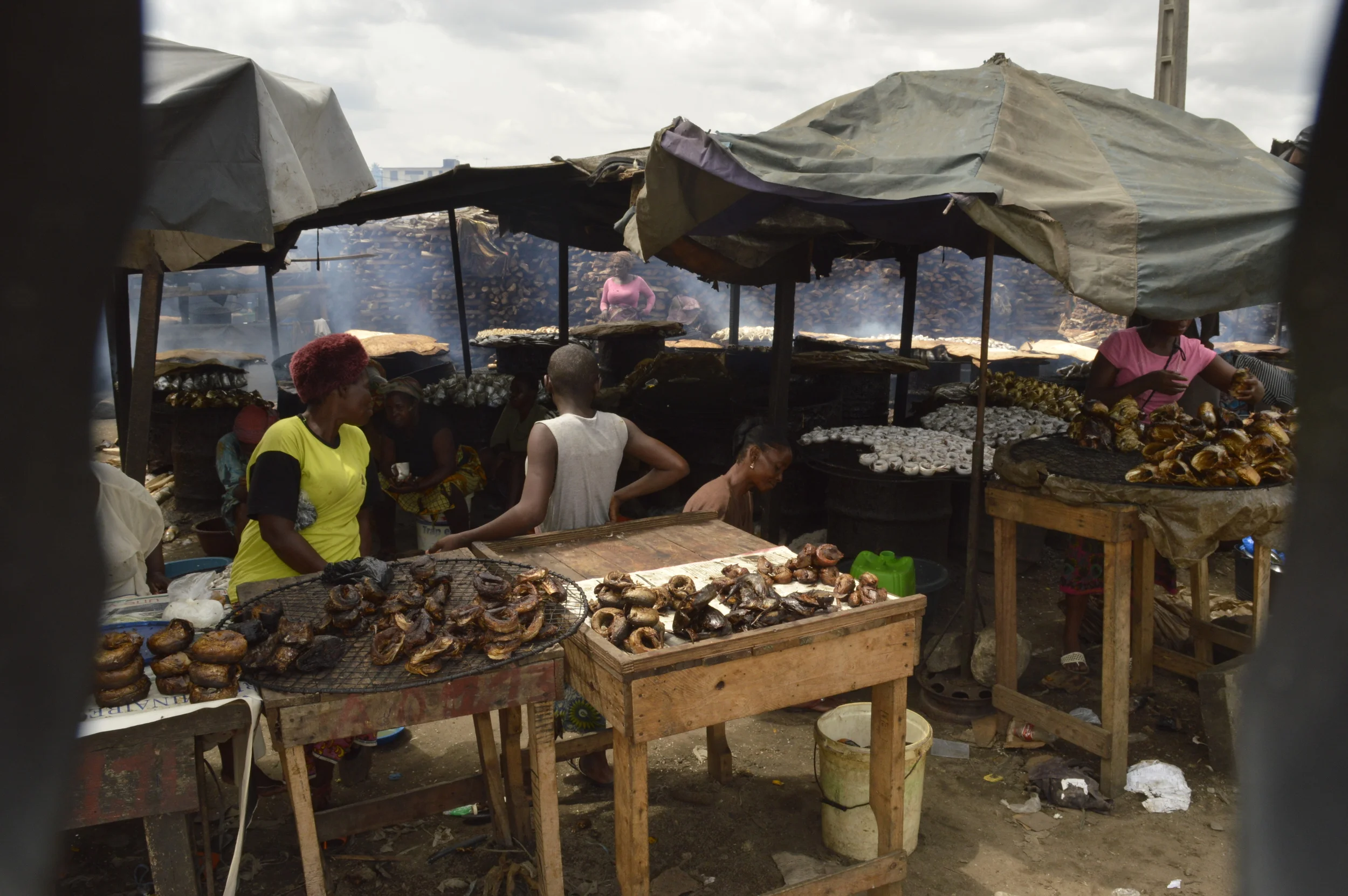 Is 1 in 4 fish stolen in Africa?