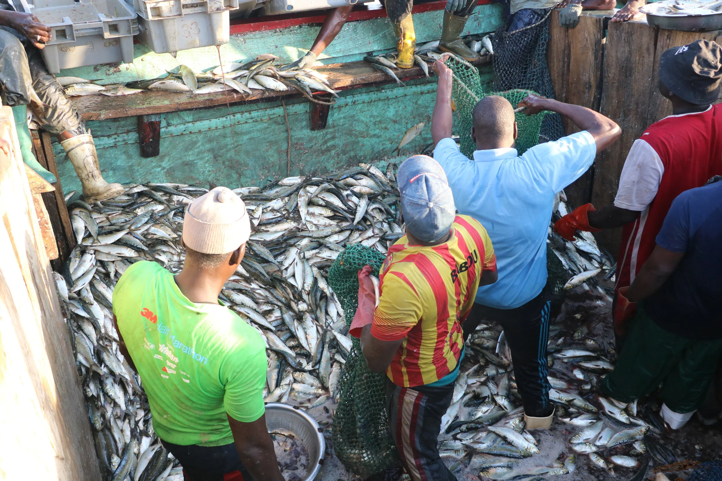 Mauritania: How the EU agreement can be used to improve fisheries management