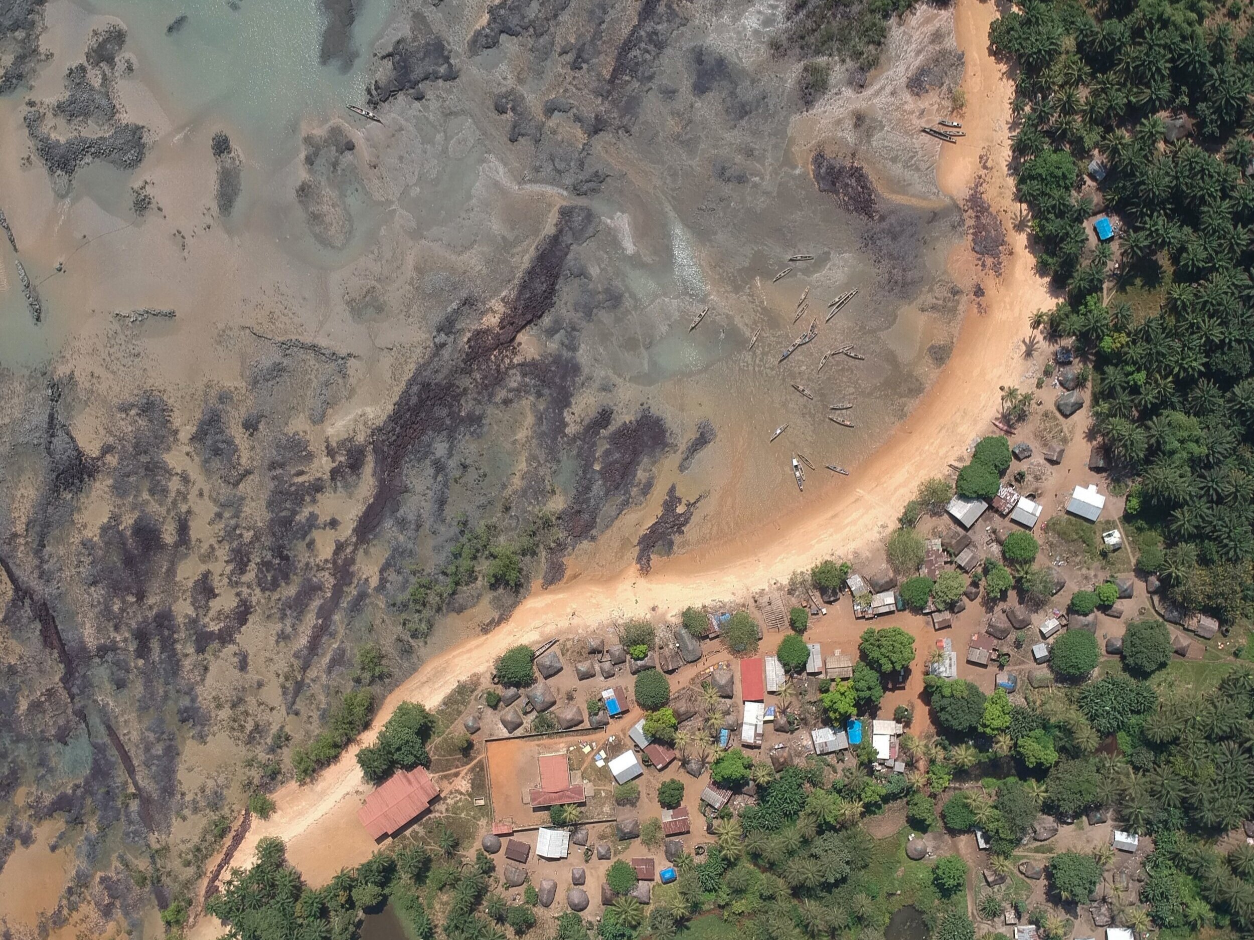 Guinea - Bissau