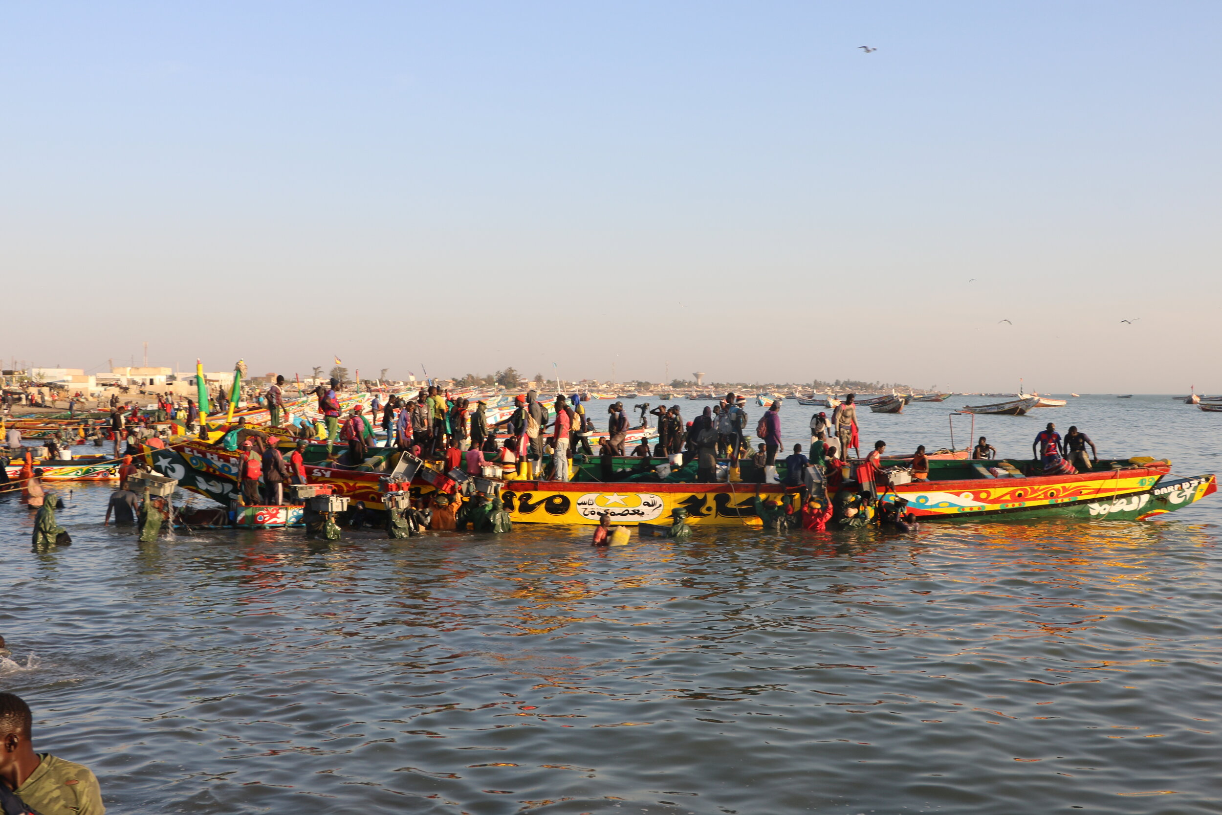 Senegal