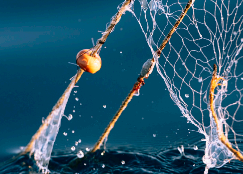 Improving scientific observer coverage in mixed Fisheries Agreements in West Africa