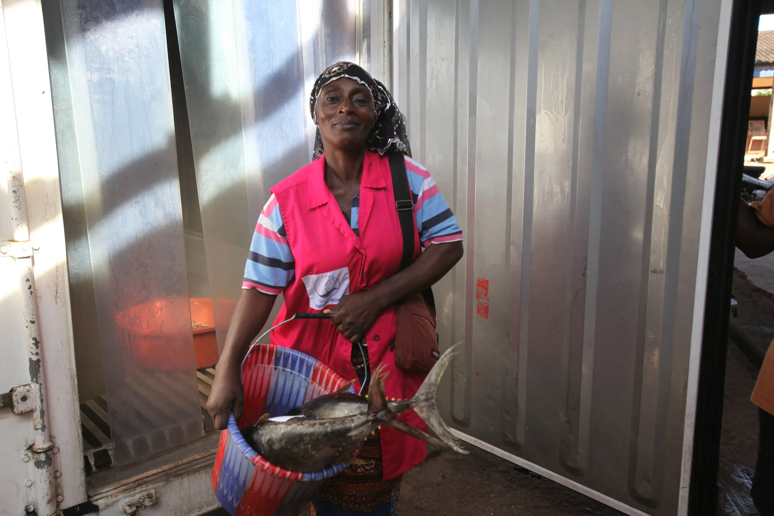 Something cool for Côte d'Ivoire women fish processors will give them more power in the marketplace