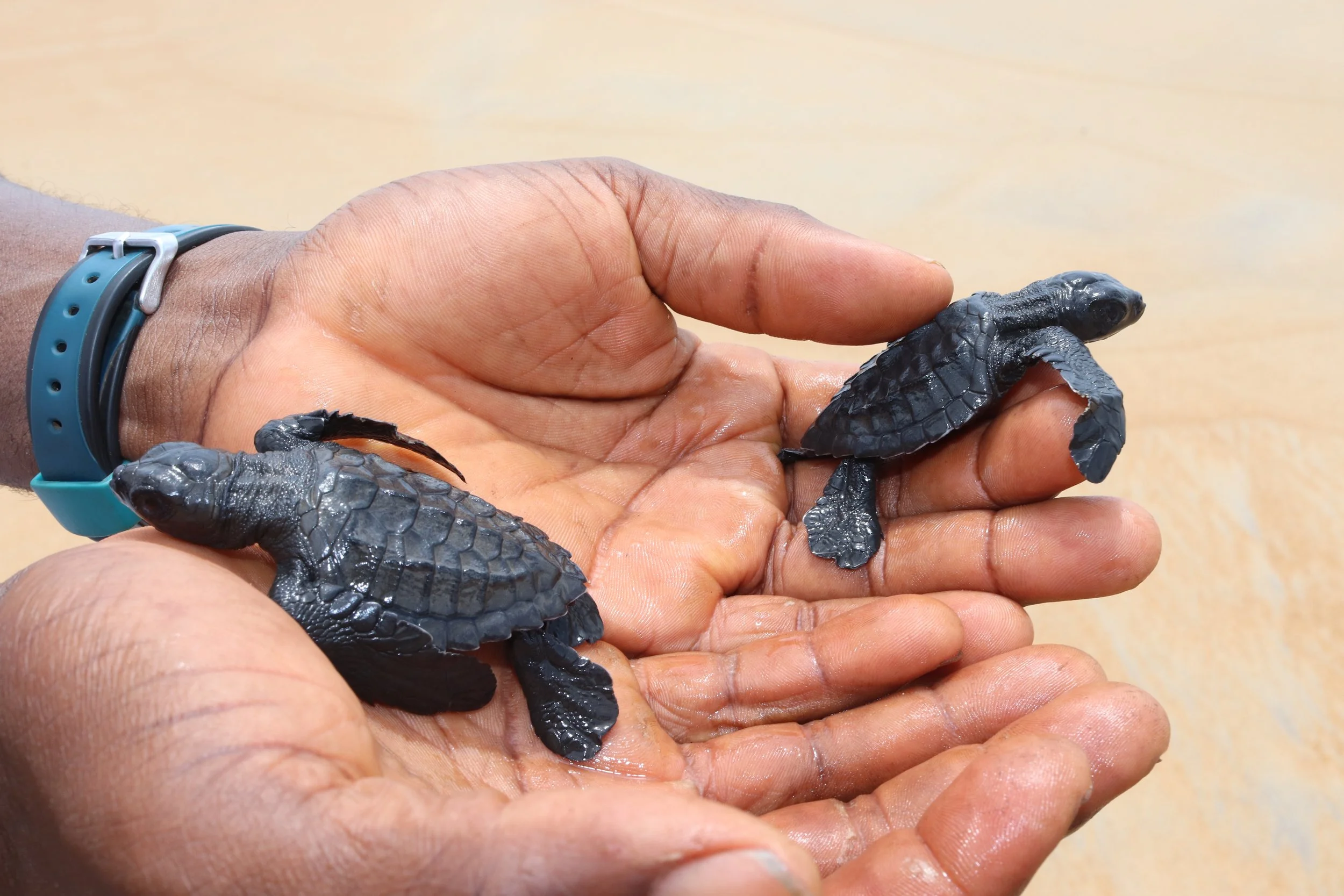 "Conservation is not for conservation's sake. Conservation is for us: we need a fair place for communities."