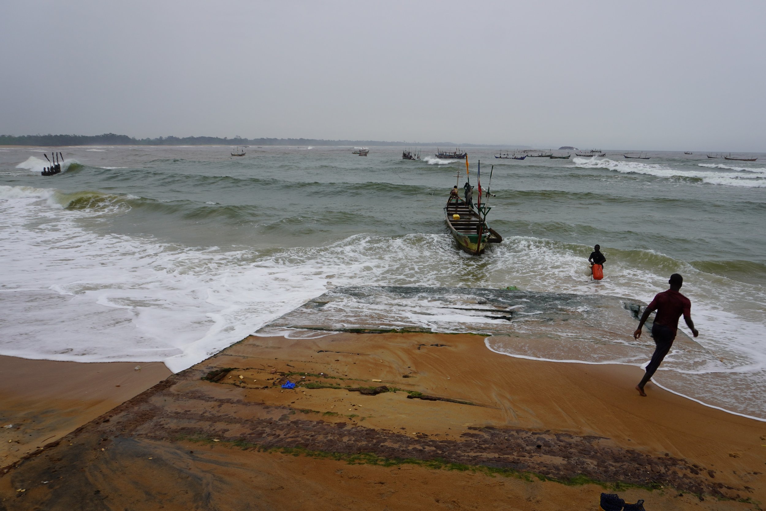  Even though there are several hundred pirogues registered in Grand-Béréby, fishermen relocate according to the season to find fish. The majority of them land their catches at the port of San Pedro, where the big clients from Abidjan are found.   Cli