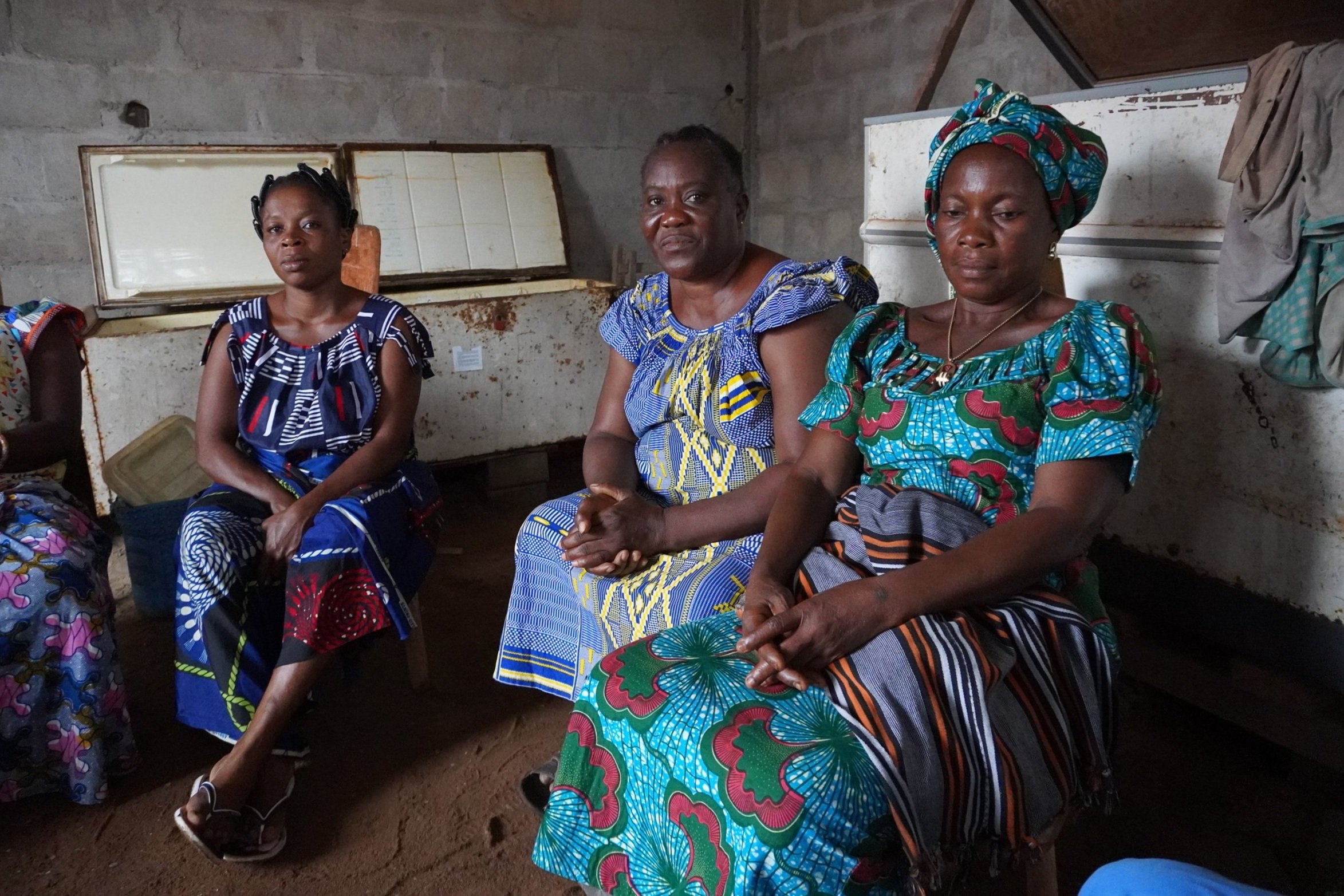  The solar-powered freezer reduces storage costs from 150 francs a day to just 25 for the 70 women fishmongers and fish processors in the DECOTHY cooperative. They now need access to the fish, which is often "snatched up by one group of people. It is