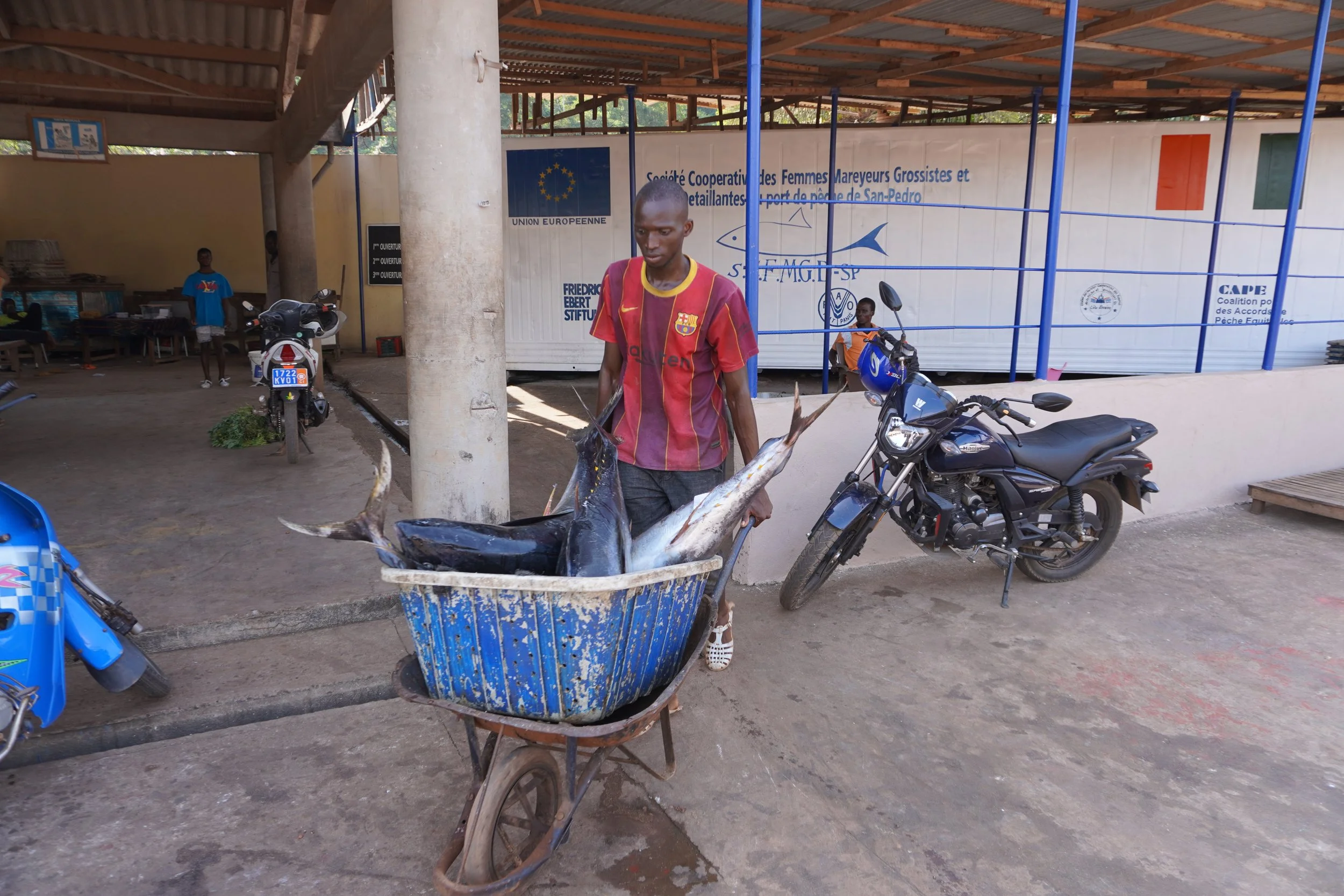 Côte d'Ivoire: "Thanks to this refrigerated container, women processors and fishmongers in San Pedro are able to get by"