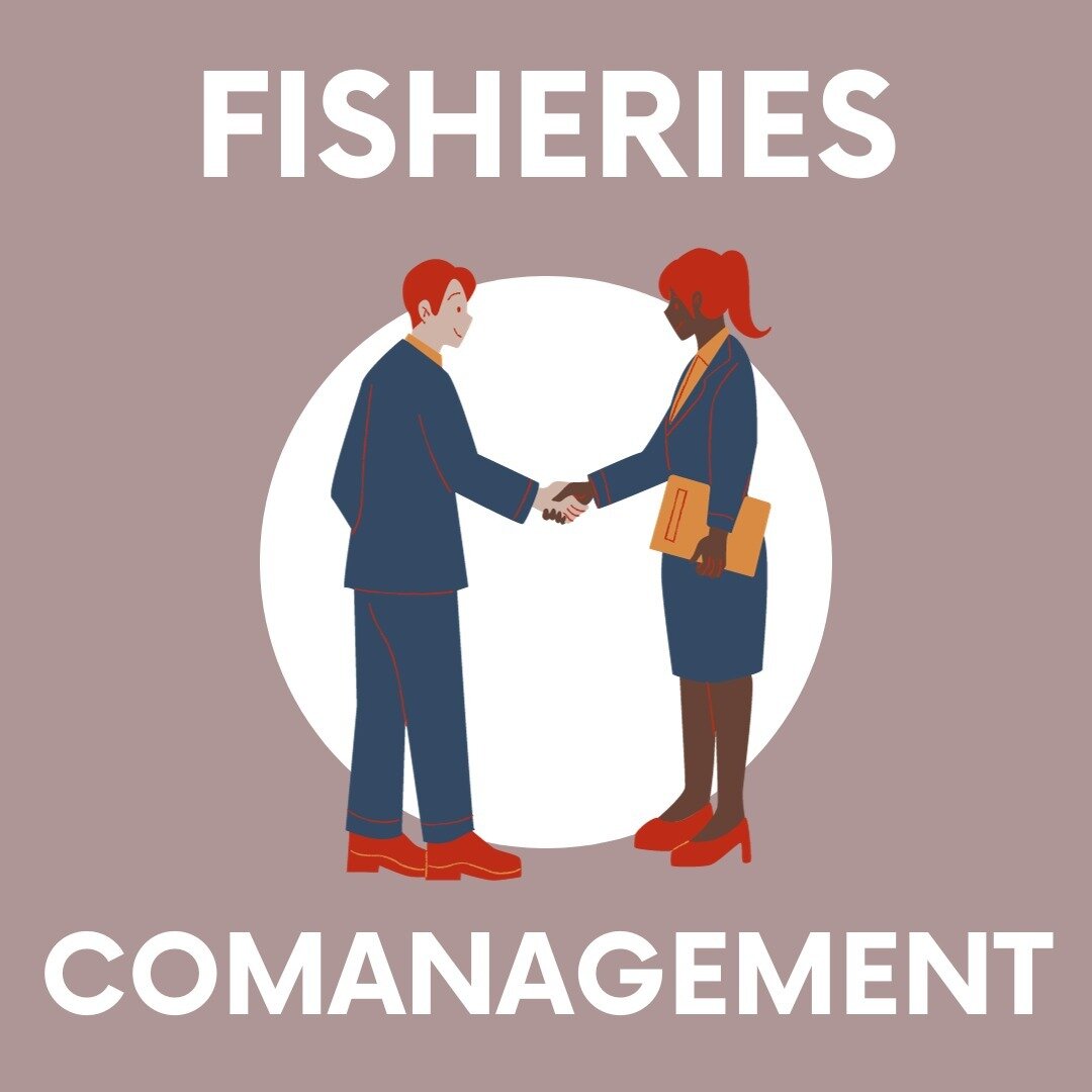 This week, the first meeting of the newly created @fao Sub Committee Fisheries Management 🐟 is being held virtually. 

We welcome that artisanal fisheries 🛶has such a prominent place on the agenda!

To address over-exploitation of resources and des