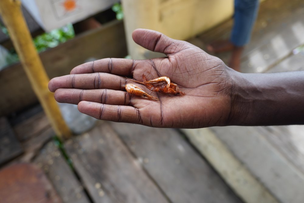  A woman shows the final product, much appreciated by Nigerians. But since the fall of the naira, the women have been unable to find local customers. 