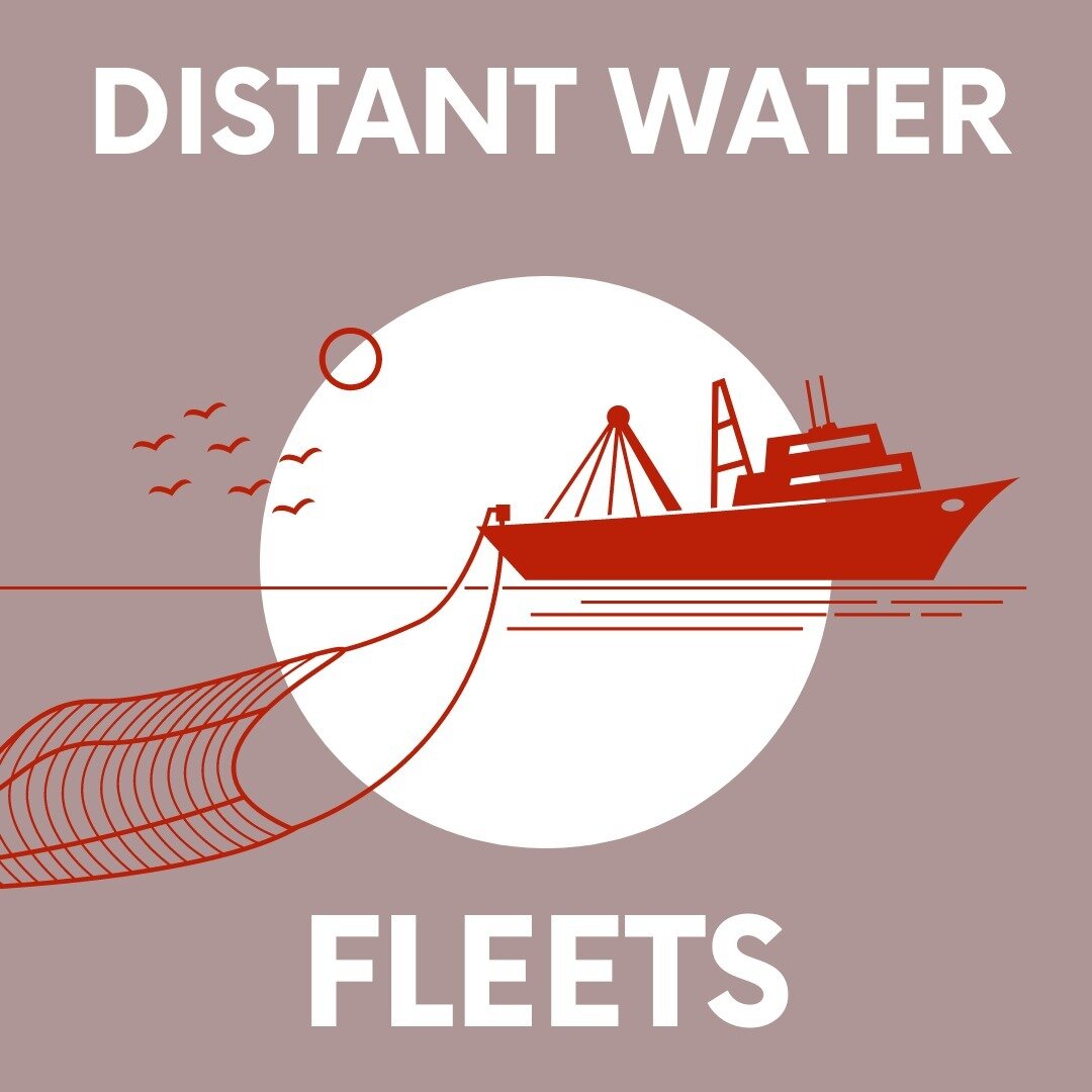Many governments identify #DistantWaterFishingFleets #DWF as a key threat to marine ecosystems, economic opportunities, food security, and human rights.

What are the social and ecological dynamics of Distant Water Fleets operating in African waters?