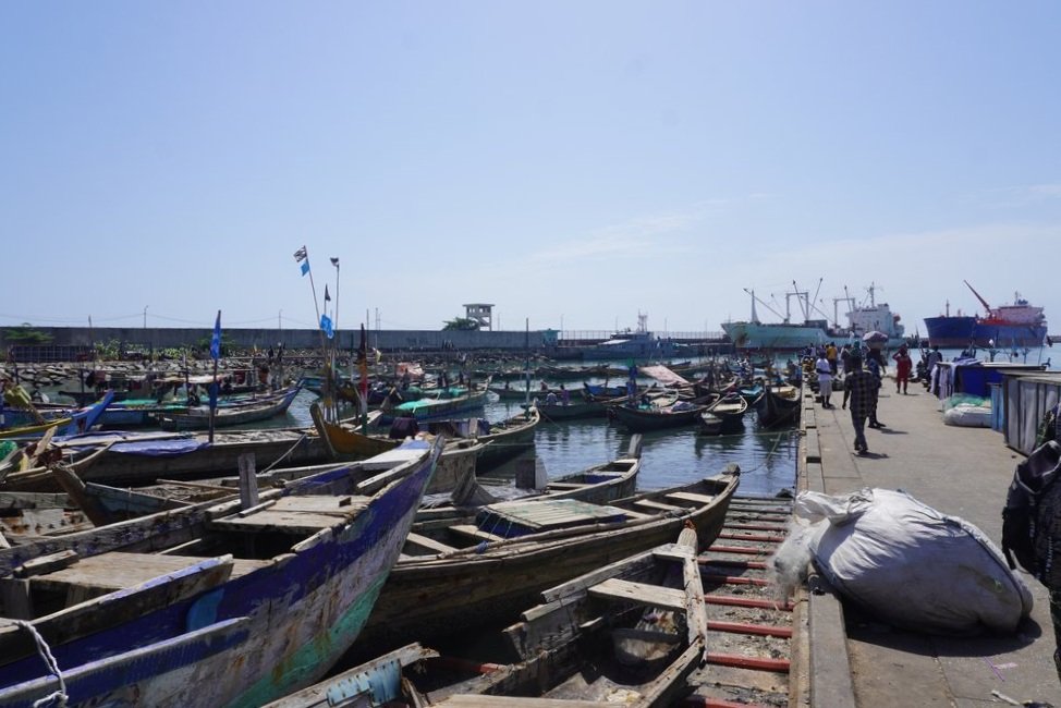  In Cotonou, the artisanal fishing port is located next to the Autonomous Port and the Naval Base. In 2022, more than 33,600 tonnes of fish were landed by small-scale and industrial fisheries. 