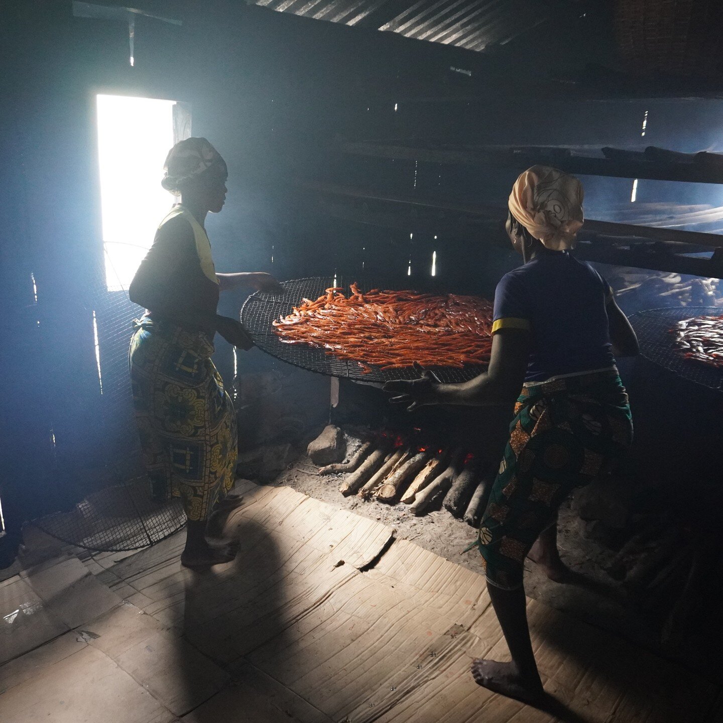 On #InternationalWomenDay we looked a women fish processing and fishmonger cooperatives in Benin. Here's a summary in pictures, with captions below (continues in comments). Click on the link in bio for the full article :)

1. Eug&eacute;nie Zannou an