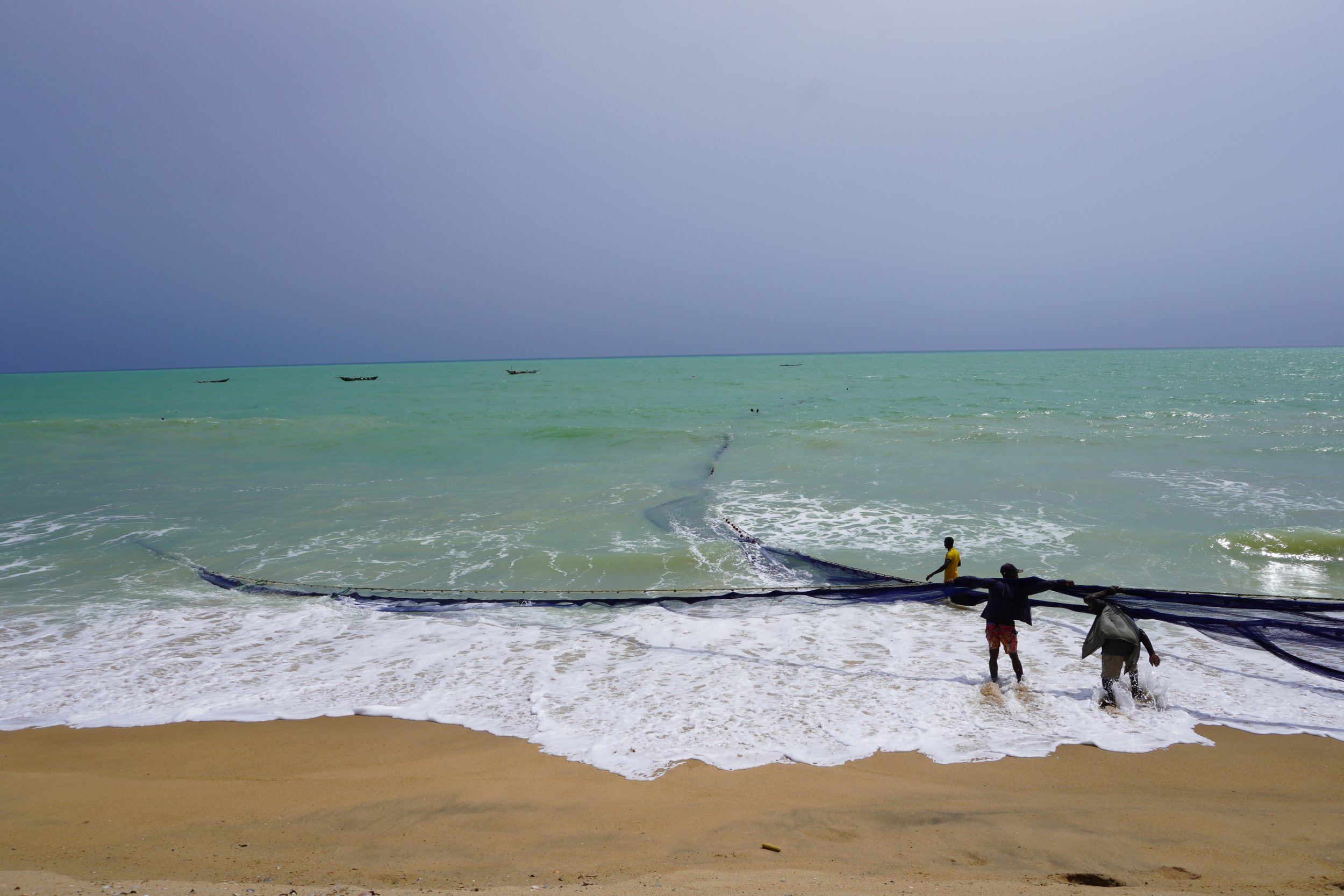  The youngest roll up the net as it comes out of the water, to make it easier for the line of pullers to grab.  