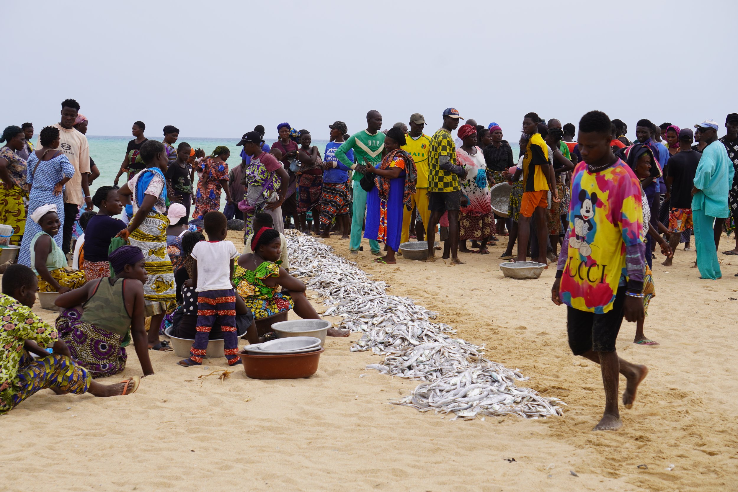  The fishing master also divides the catch into small heaps, measured with 15, 20 or 25 kg basins, depending on supply and demand.  