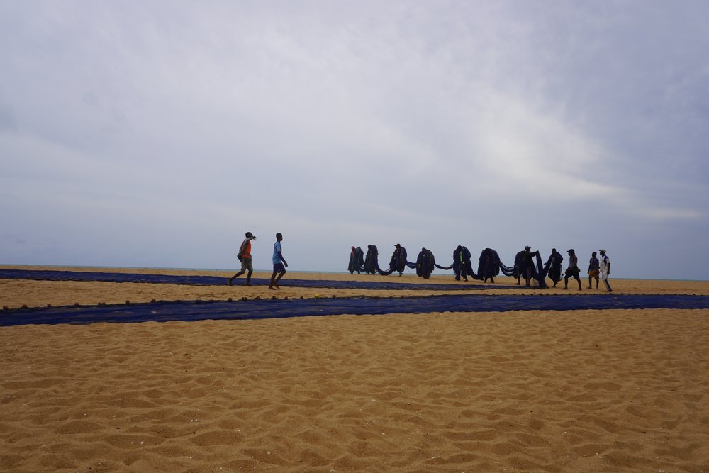  After pulling the bag out of the water, the youngest fishers bring the heaviest parts of the net back to the pirogue.  