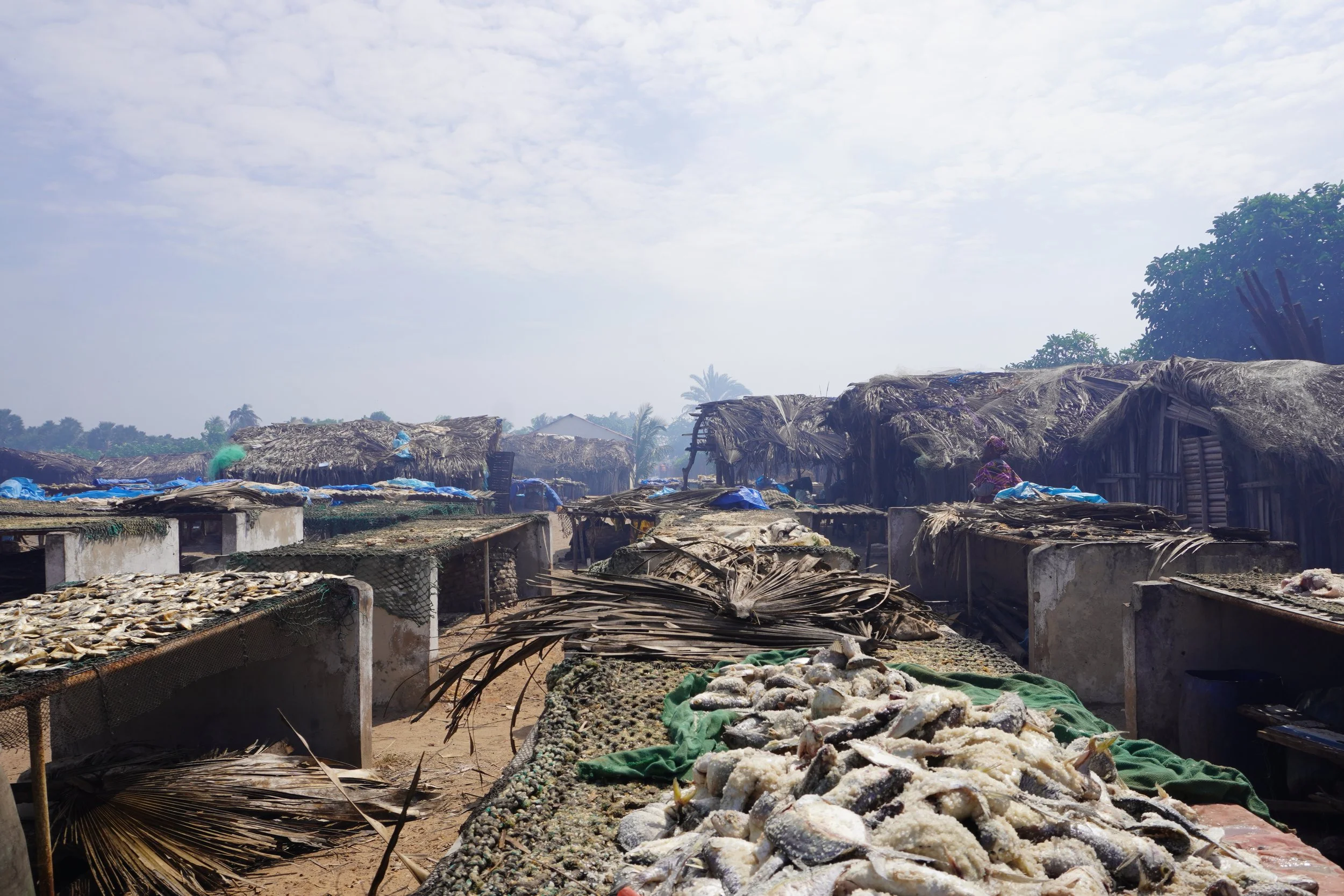  Although the tables used for drying fish are located several hundred meters from the coastline, the ocean still occasionally reaches them, causing high ambient humidity that prevents the fish from drying properly. Ideally, new drying facilities shou