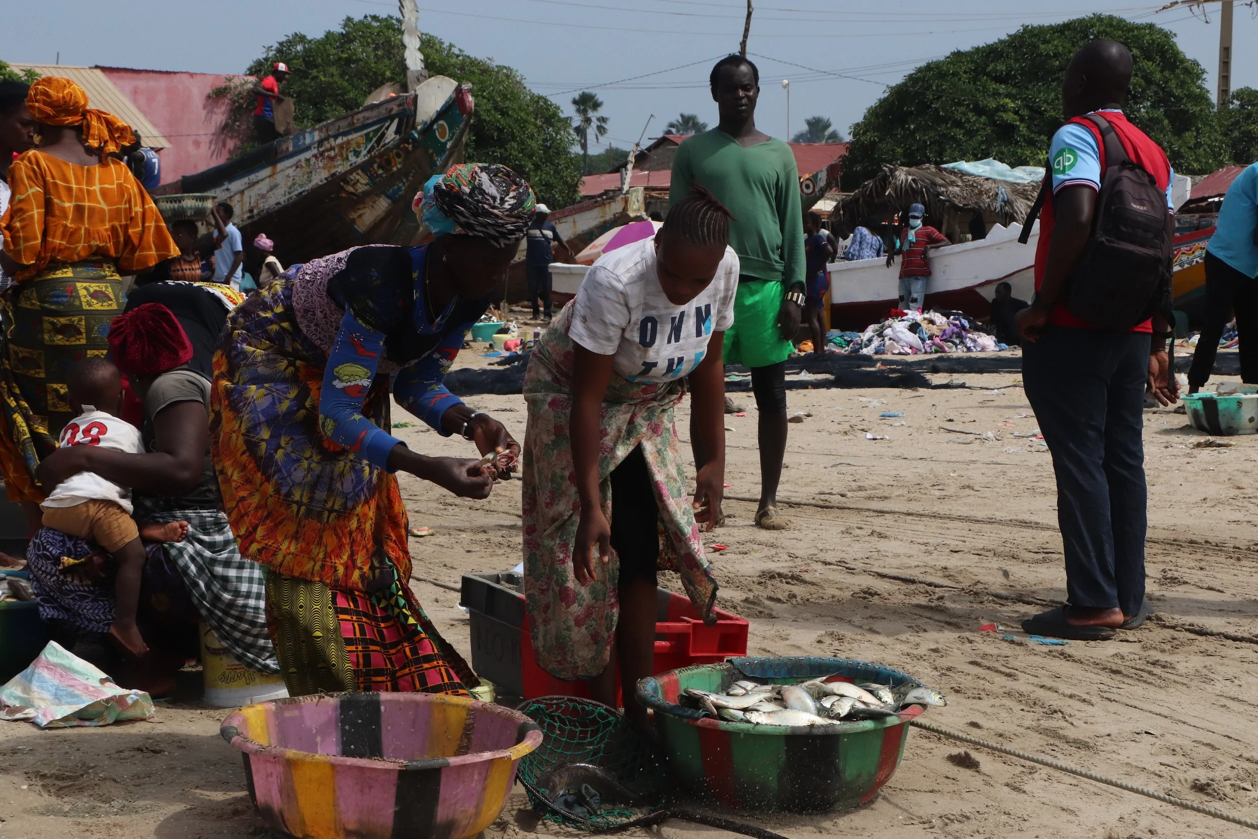  The rising costs of sea trips are affecting all workers in the small-scale fishing sector, including women fish processors and fishmongers. 