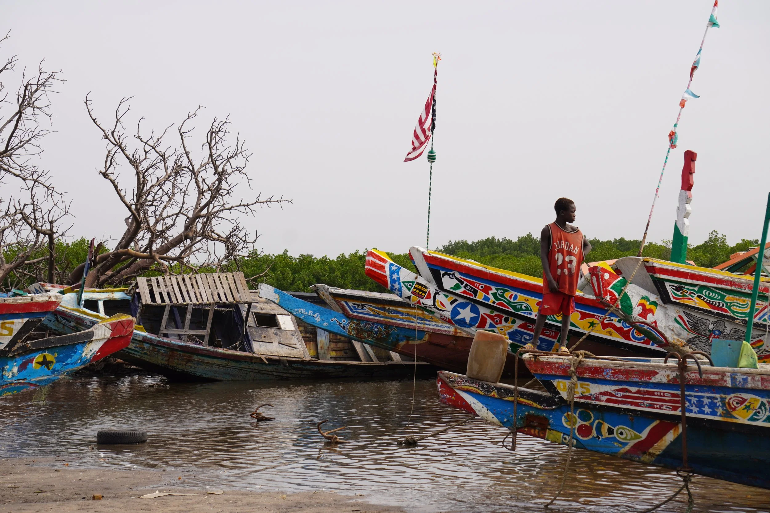 Rising tides, shrinking catches: climate change and the resilience of Gambian fishing communities
